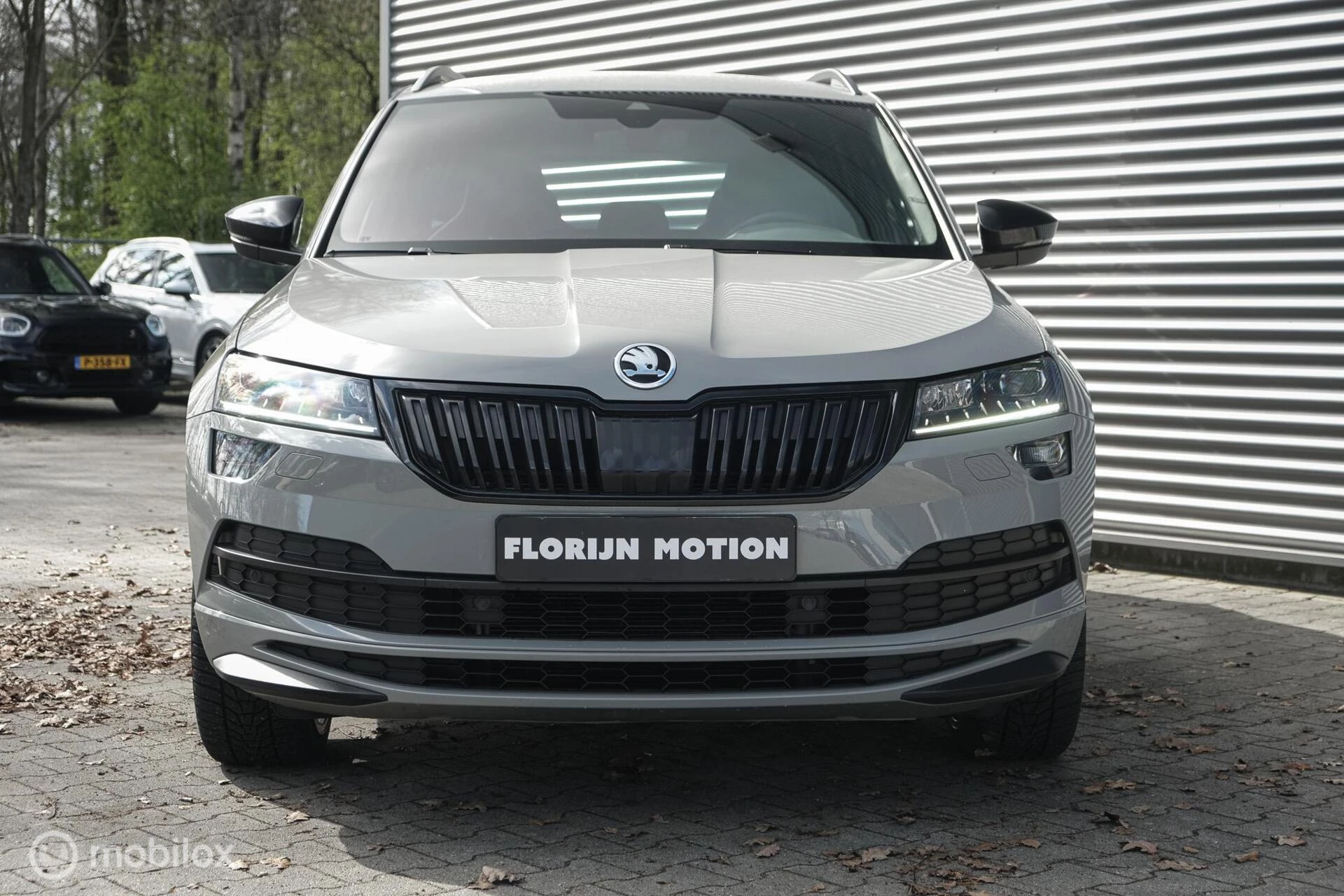 Hoofdafbeelding Škoda Karoq