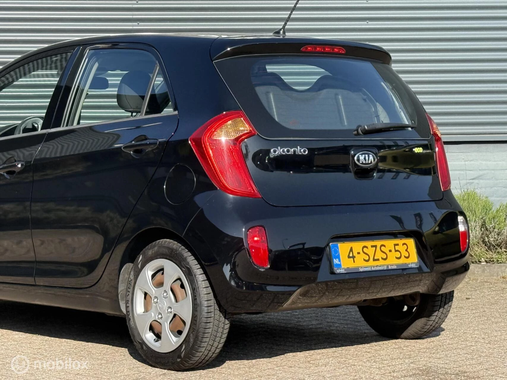 Hoofdafbeelding Kia Picanto
