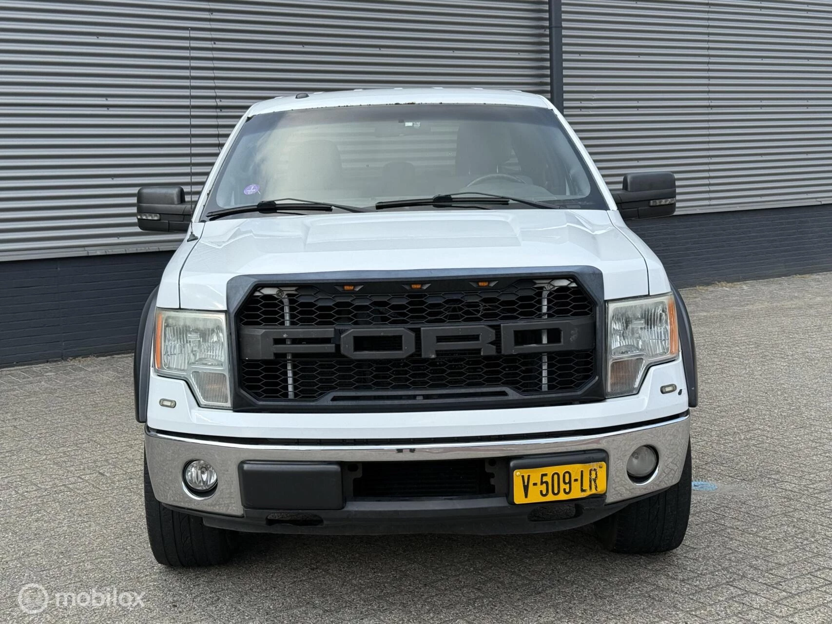 Hoofdafbeelding Ford F-150