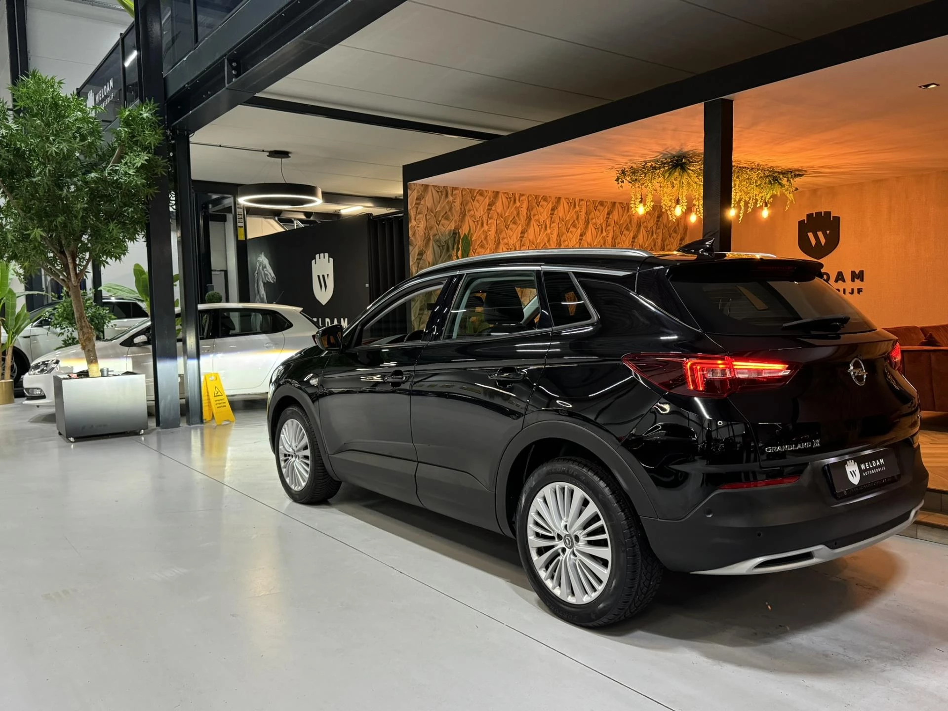 Hoofdafbeelding Opel Grandland X