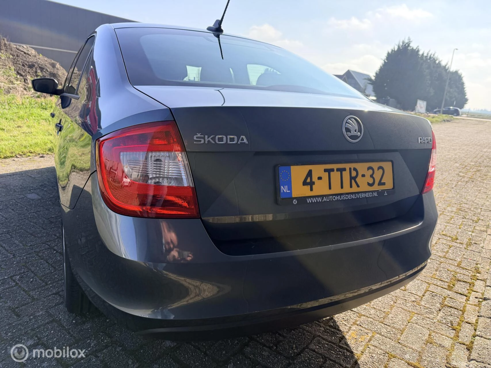 Hoofdafbeelding Škoda Rapid