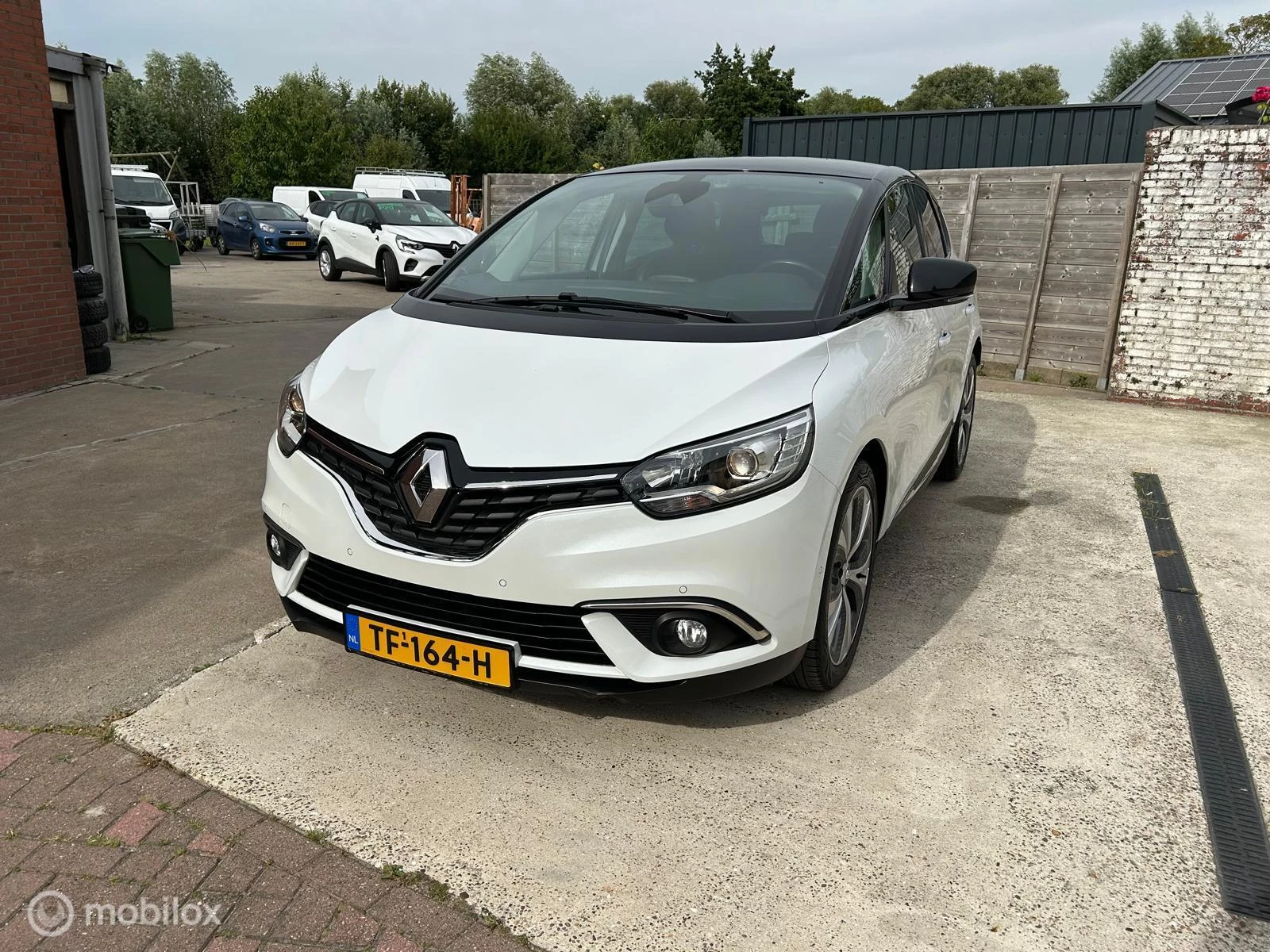 Hoofdafbeelding Renault Scénic