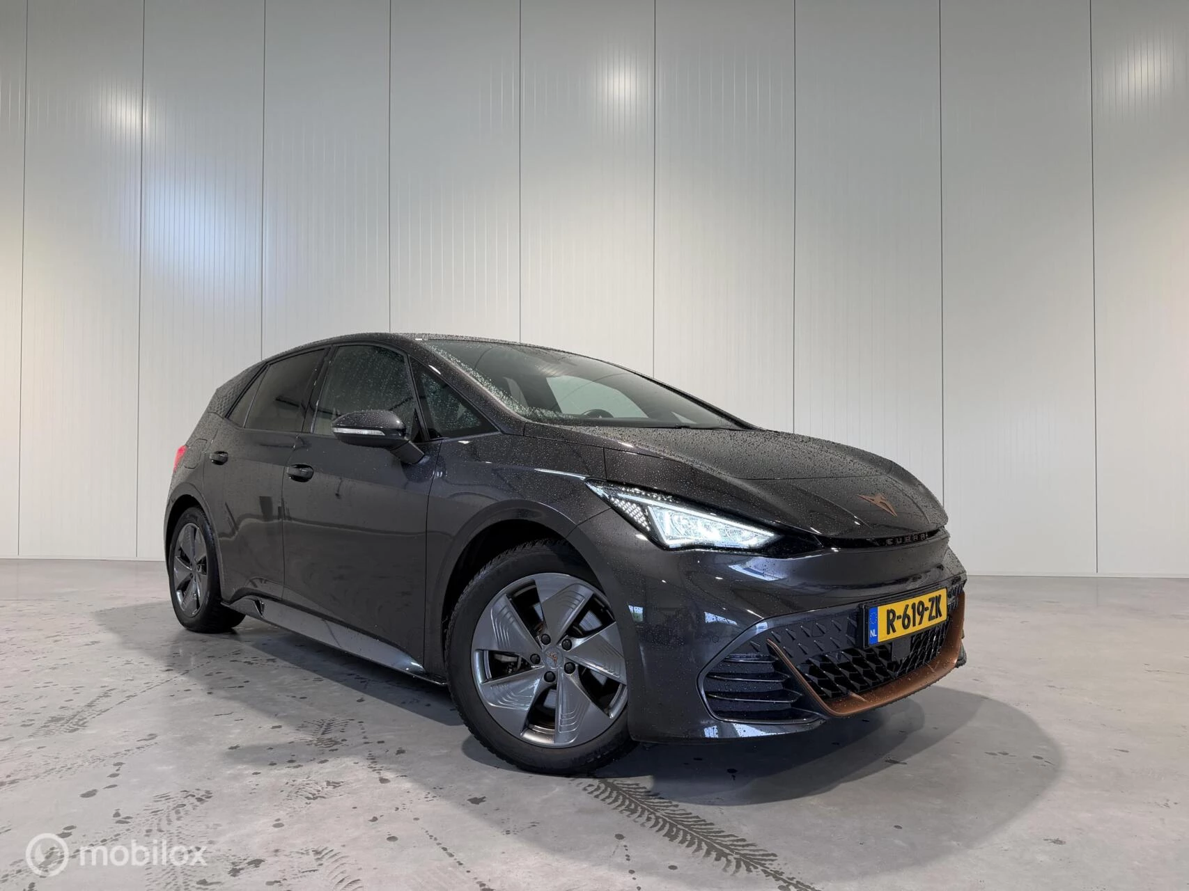 Hoofdafbeelding CUPRA Born