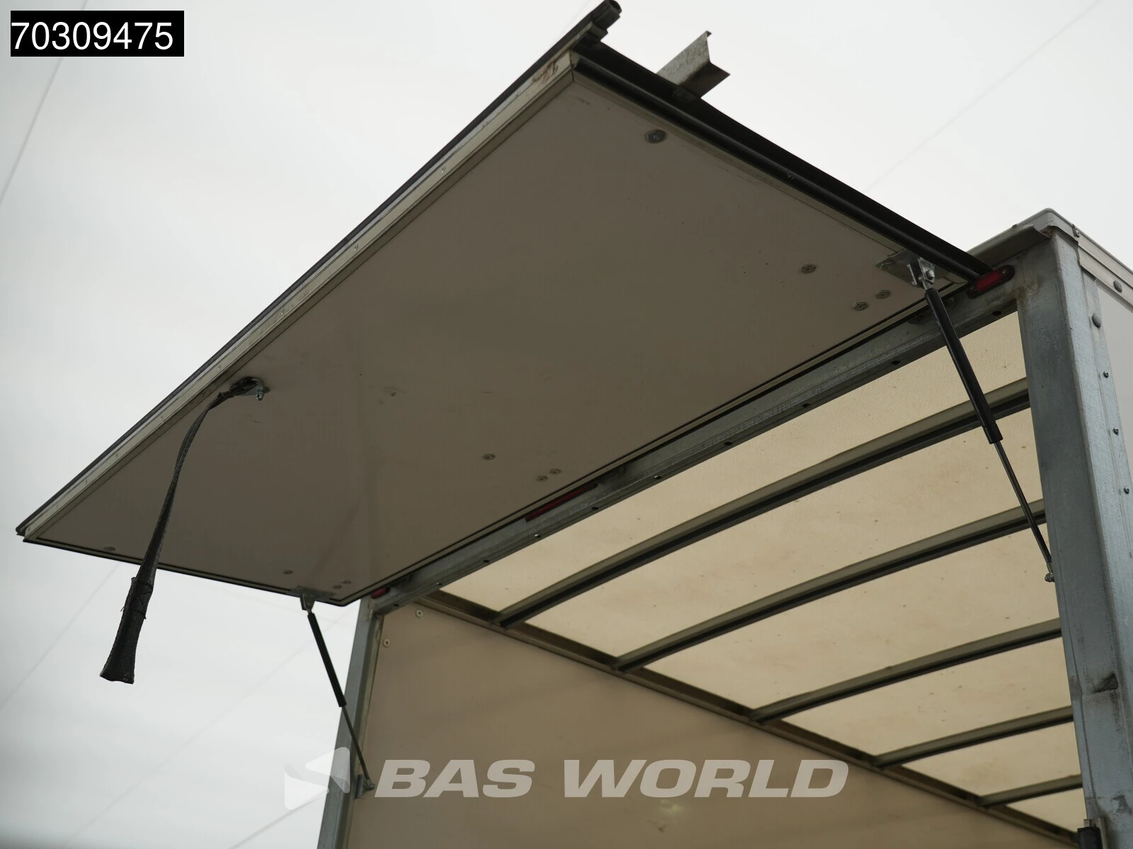 Hoofdafbeelding MAN TGE