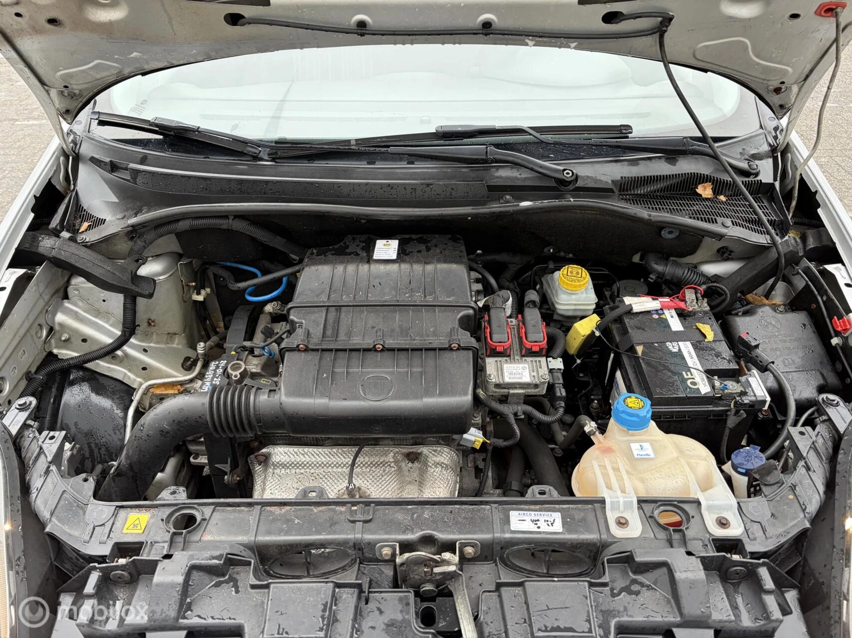 Hoofdafbeelding Fiat Punto