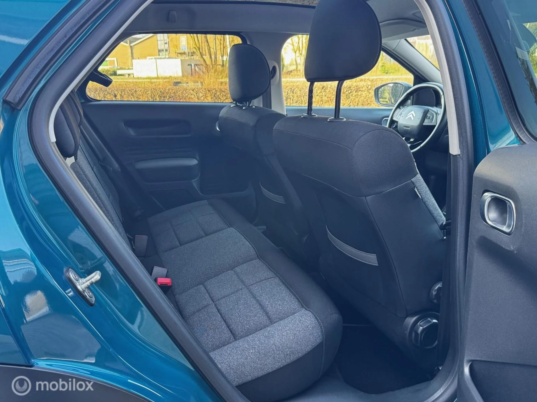 Hoofdafbeelding Citroën C4 Cactus