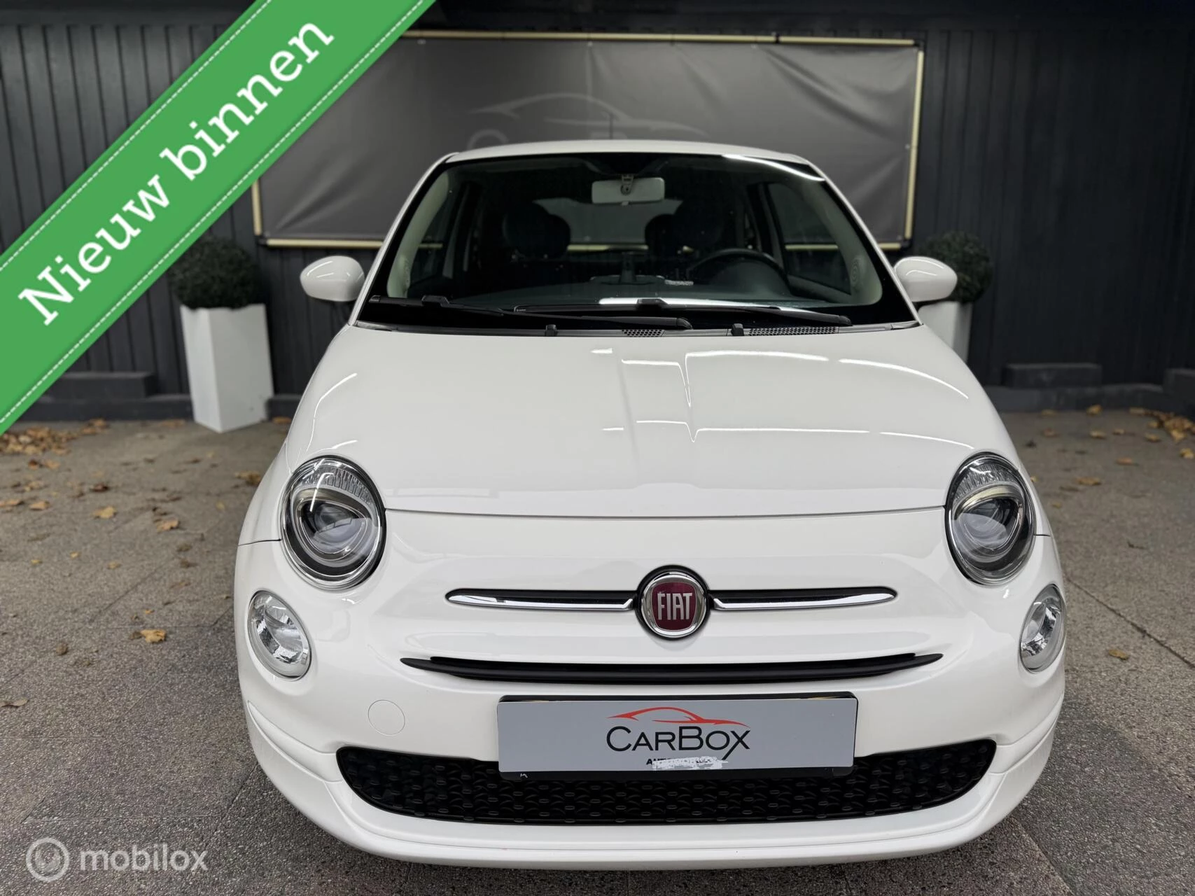 Hoofdafbeelding Fiat 500