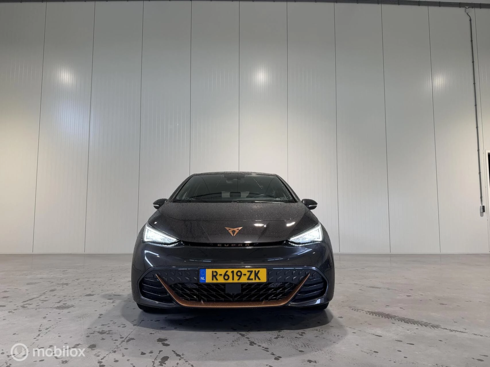 Hoofdafbeelding CUPRA Born