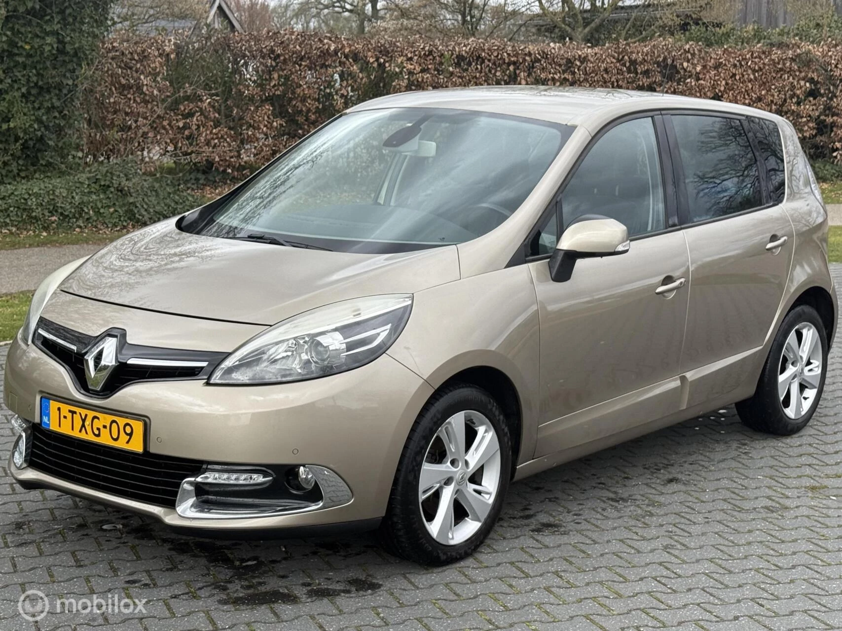 Hoofdafbeelding Renault Scénic
