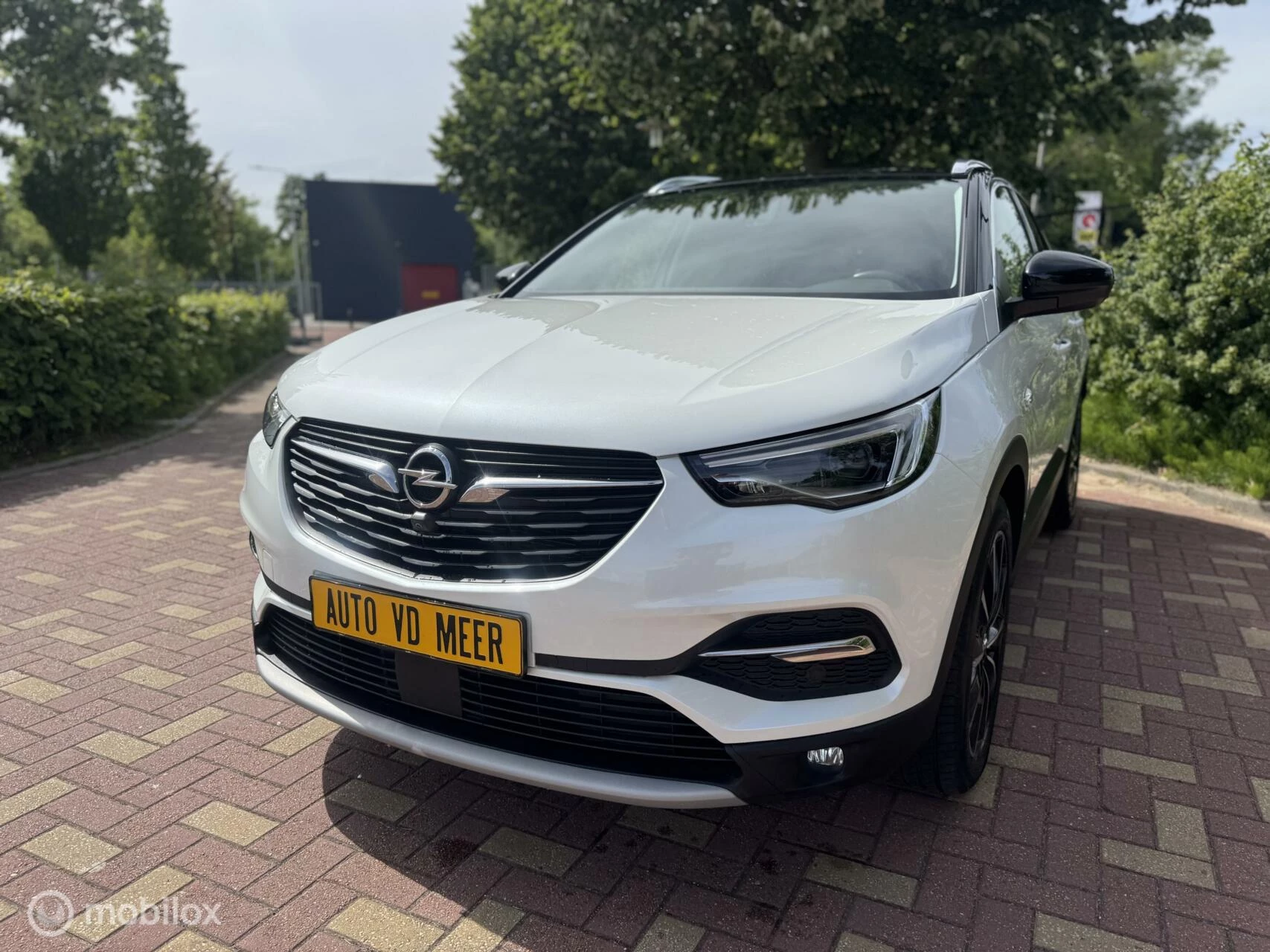 Hoofdafbeelding Opel Grandland X