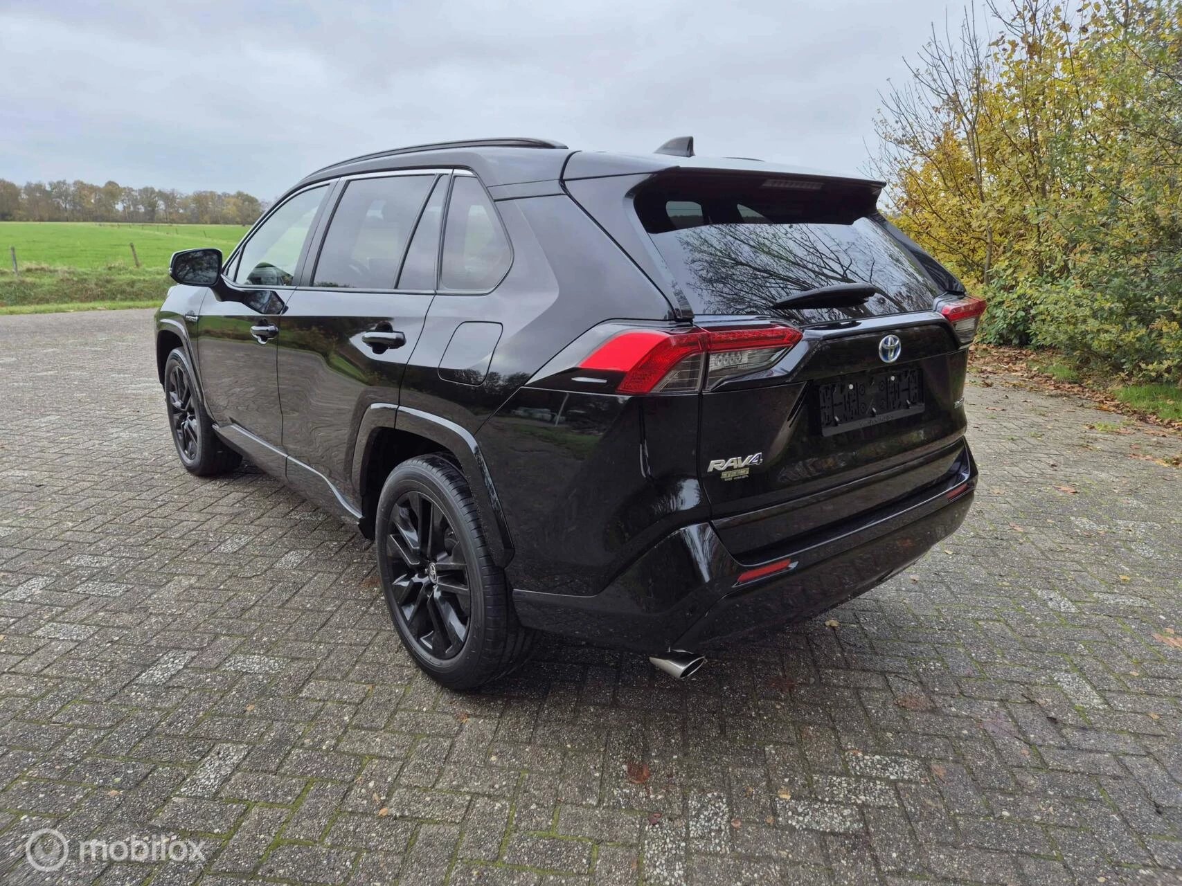 Hoofdafbeelding Toyota RAV4