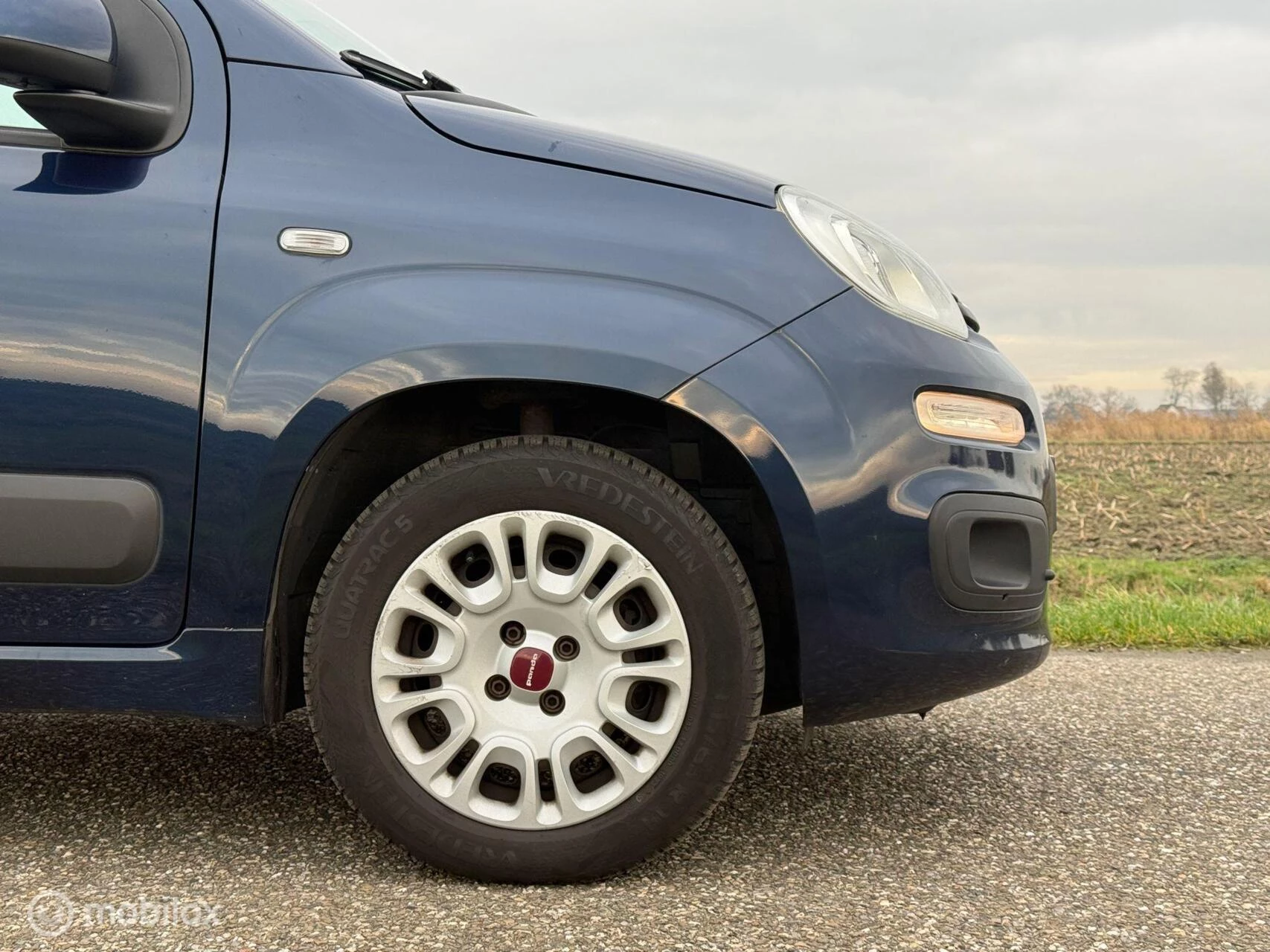 Hoofdafbeelding Fiat Panda