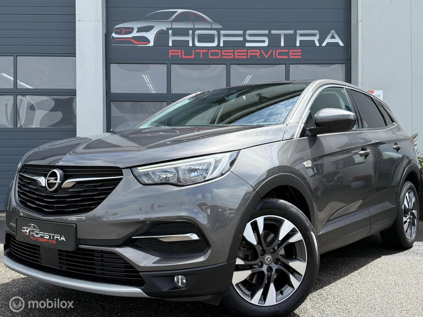 Hoofdafbeelding Opel Grandland X