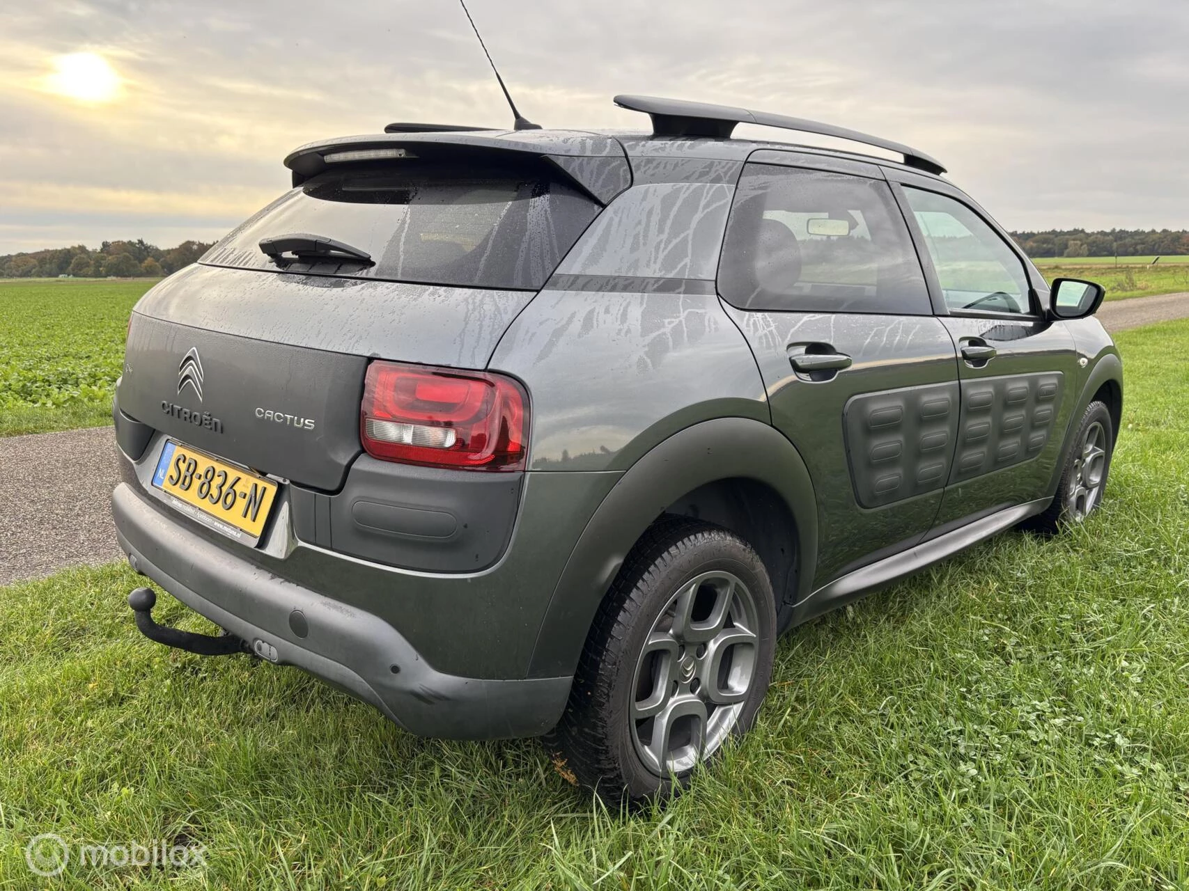 Hoofdafbeelding Citroën C4 Cactus