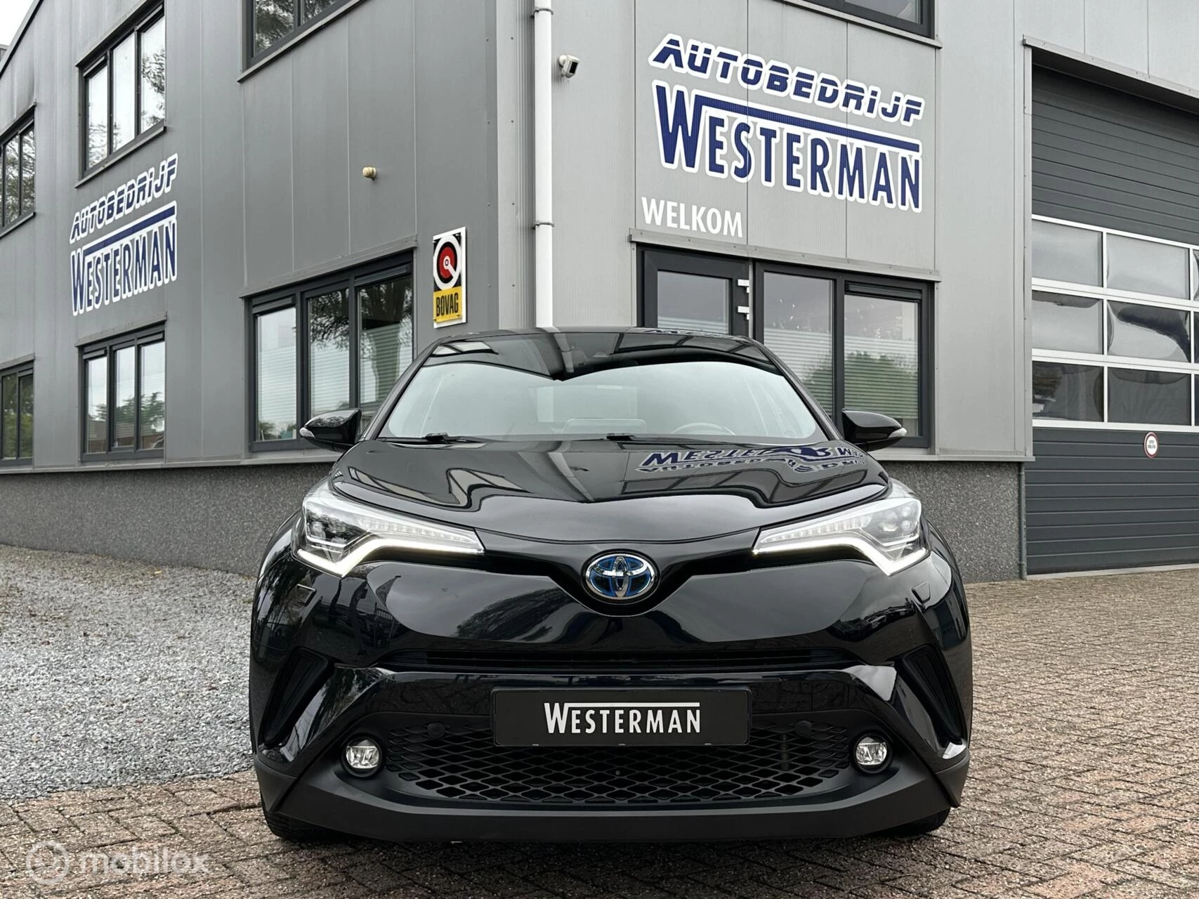 Hoofdafbeelding Toyota C-HR