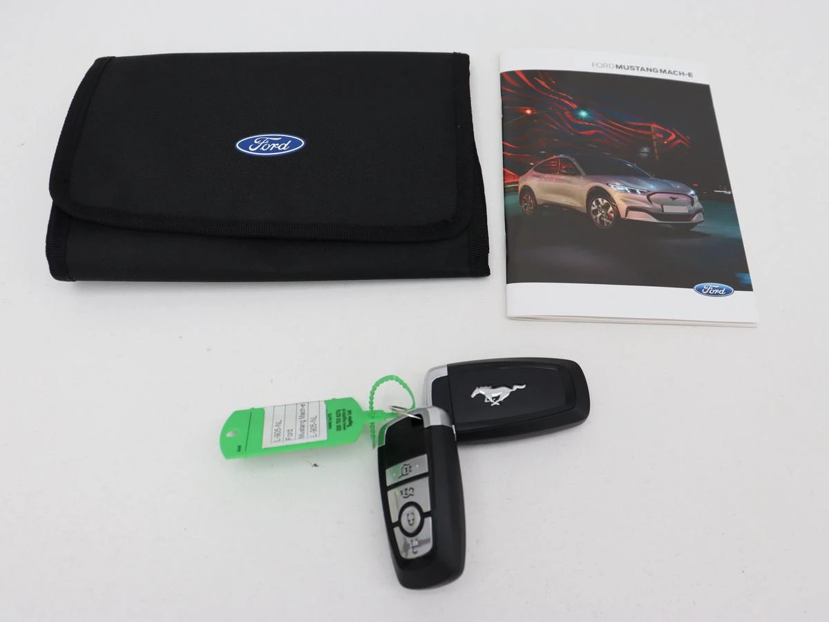 Hoofdafbeelding Ford Mustang Mach-E