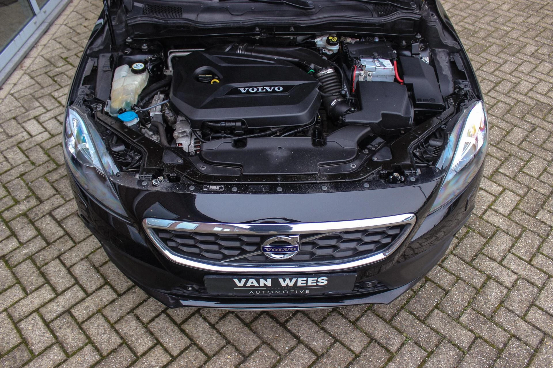 Hoofdafbeelding Volvo V40