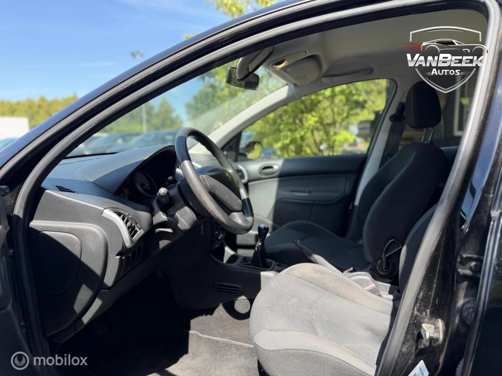 Hoofdafbeelding Peugeot 206