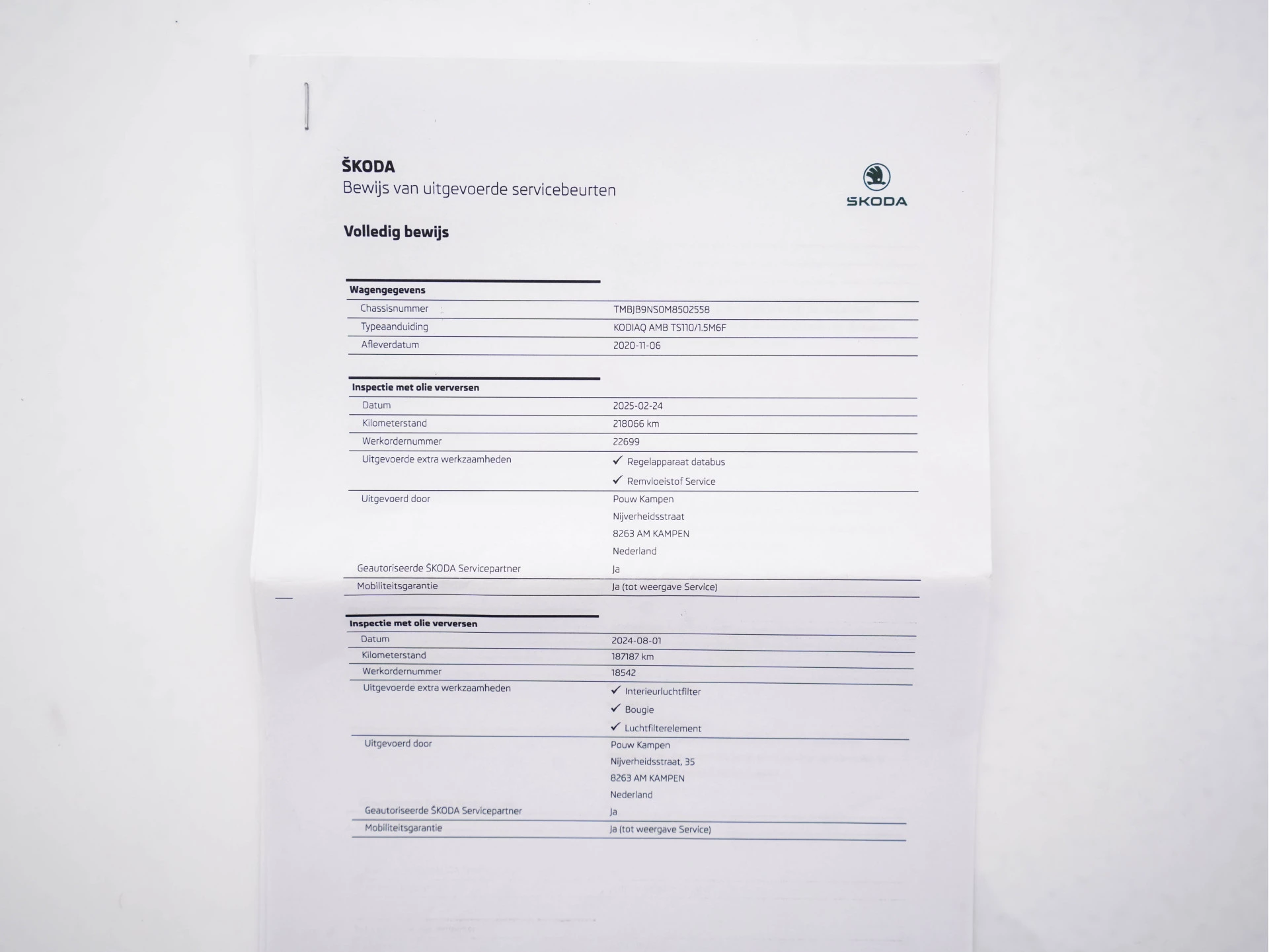 Hoofdafbeelding Škoda Kodiaq