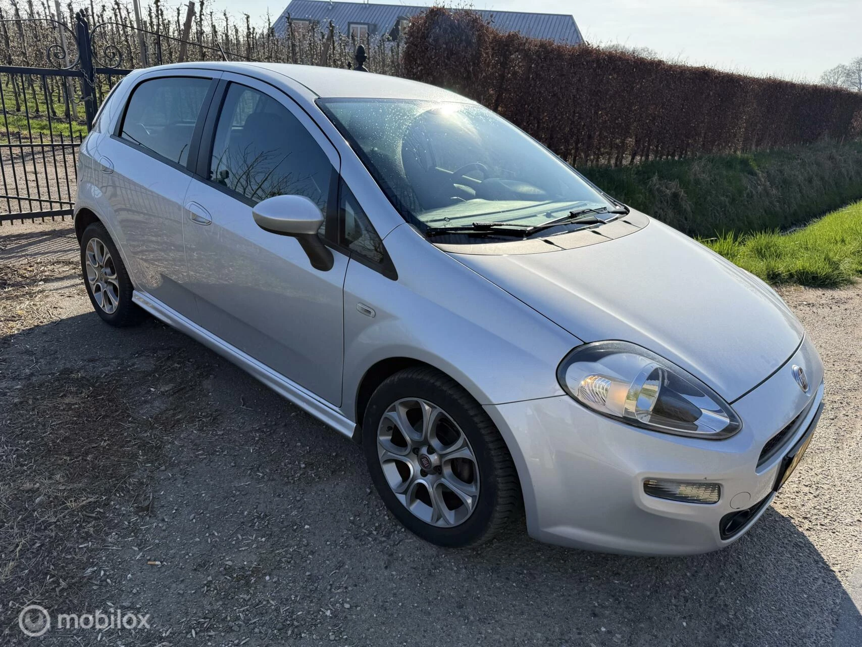 Hoofdafbeelding Fiat Punto