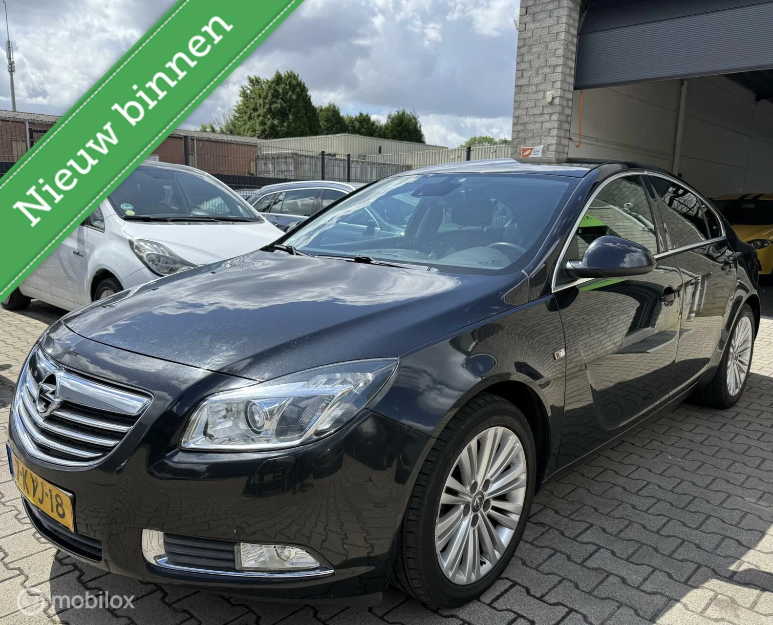 Hoofdafbeelding Opel Insignia
