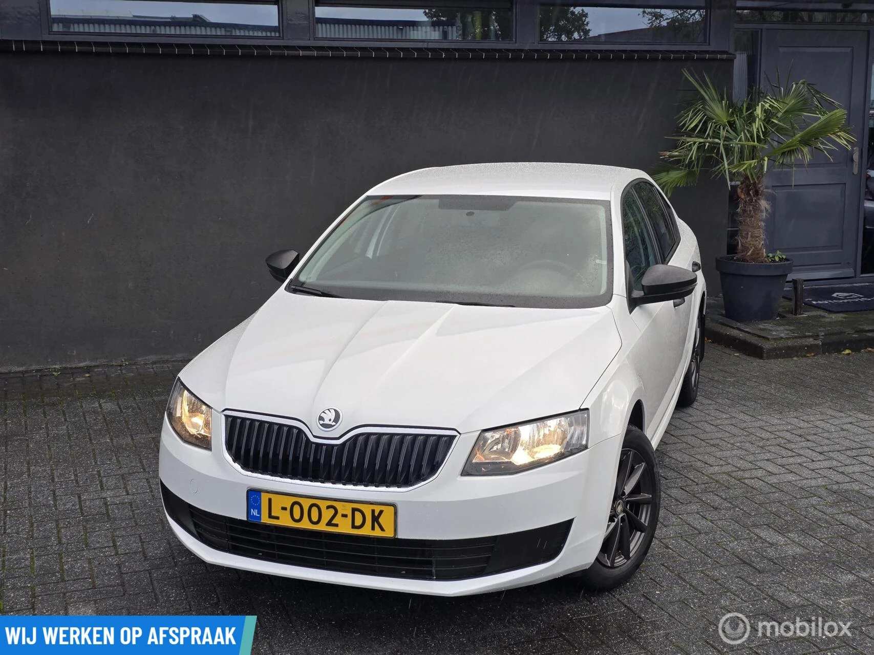 Hoofdafbeelding Škoda Octavia