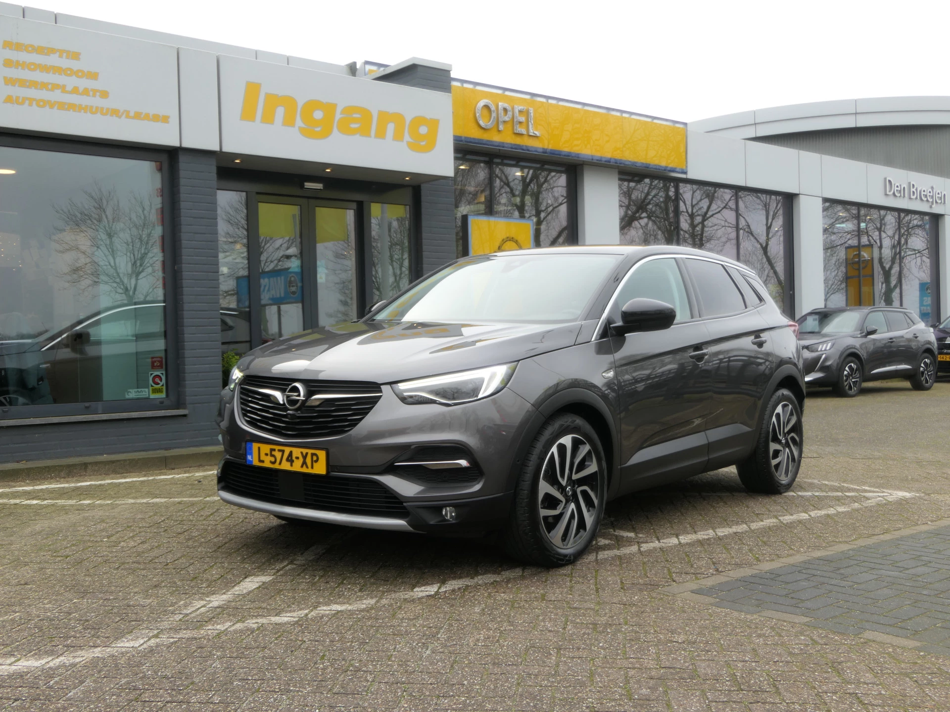 Hoofdafbeelding Opel Grandland X