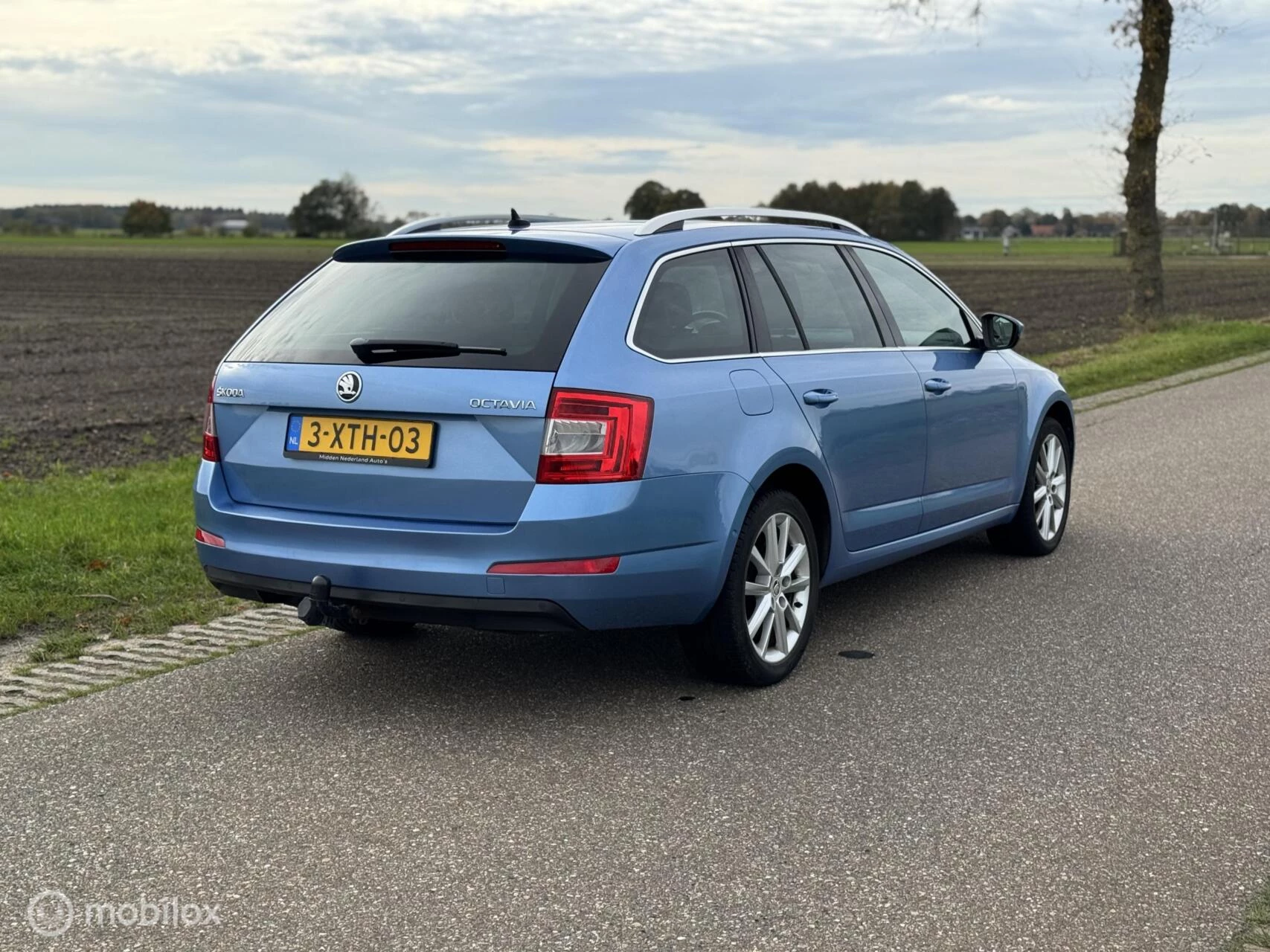 Hoofdafbeelding Škoda Octavia