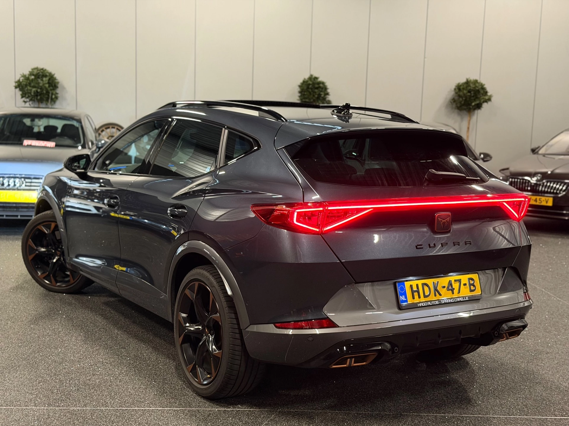 Hoofdafbeelding CUPRA Formentor