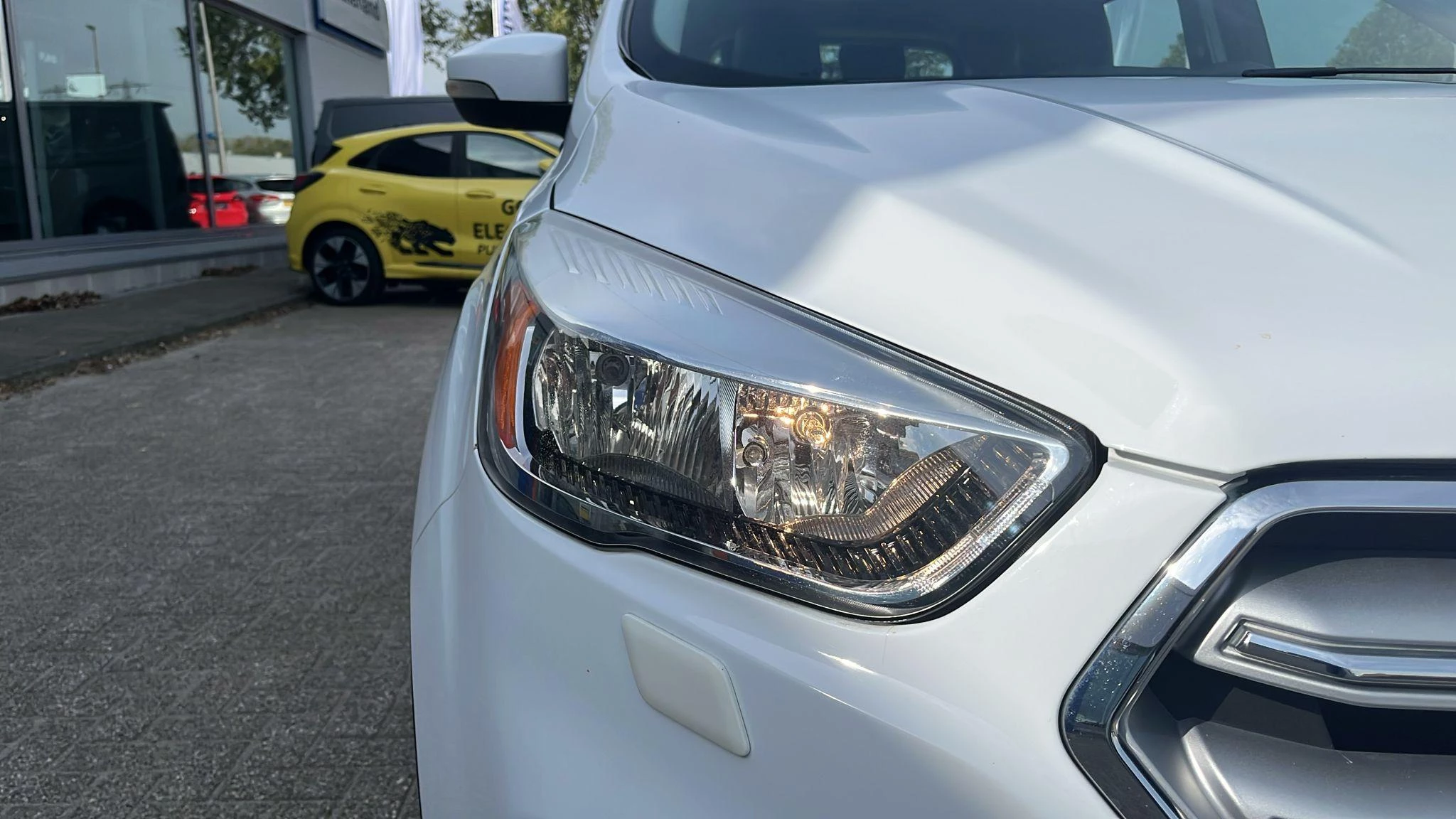 Hoofdafbeelding Ford Kuga