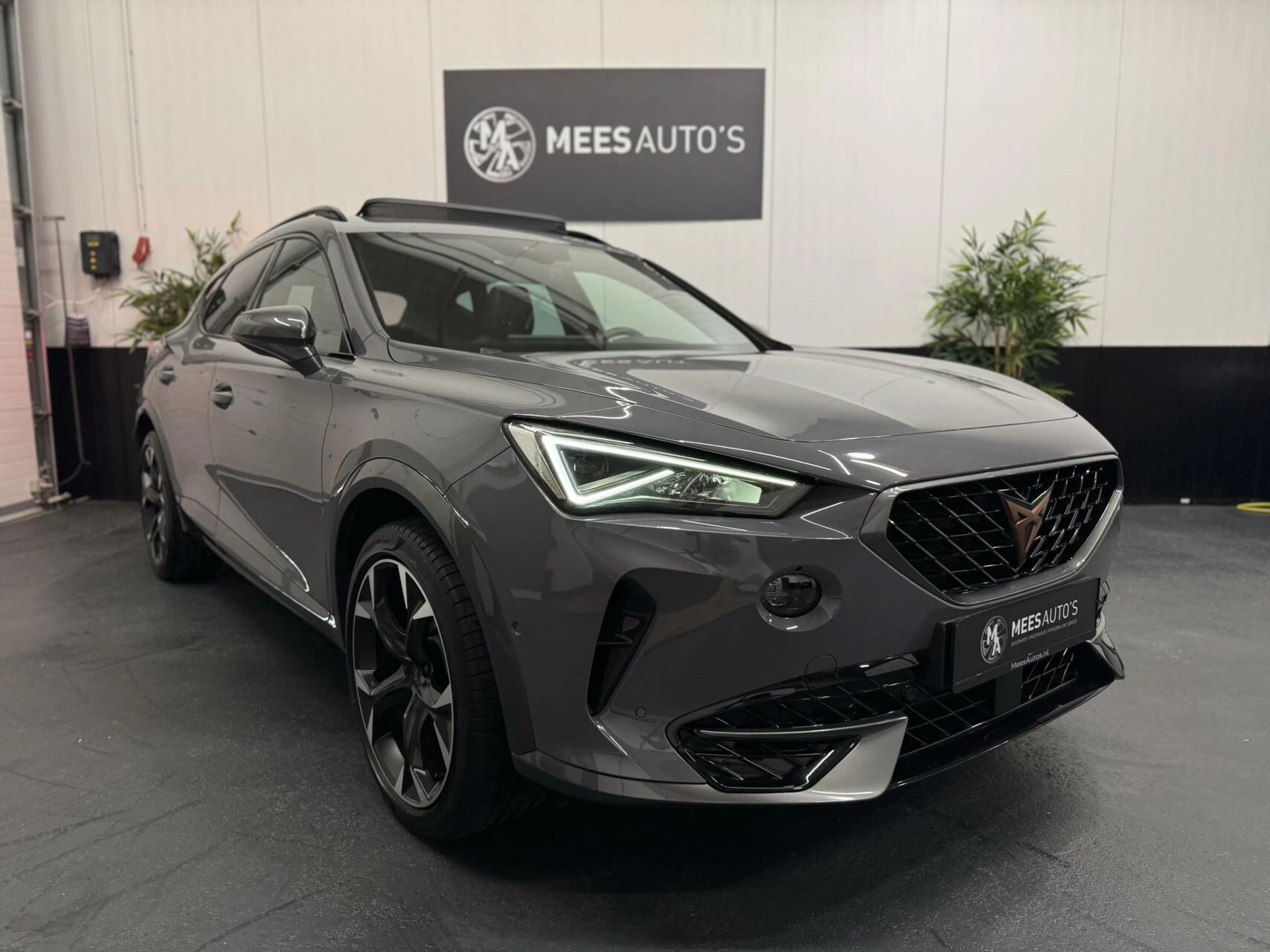 Hoofdafbeelding CUPRA Formentor
