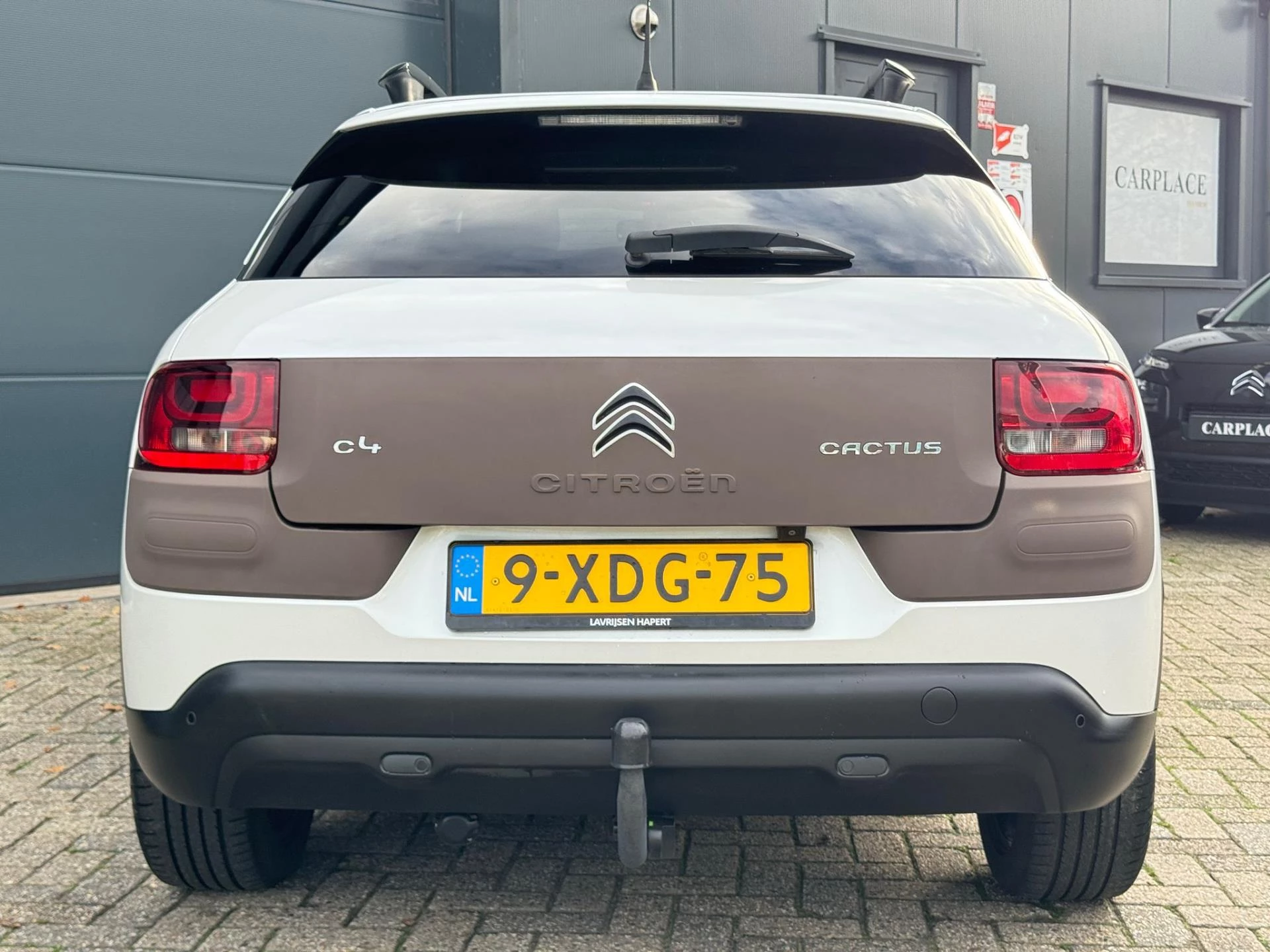 Hoofdafbeelding Citroën C4 Cactus