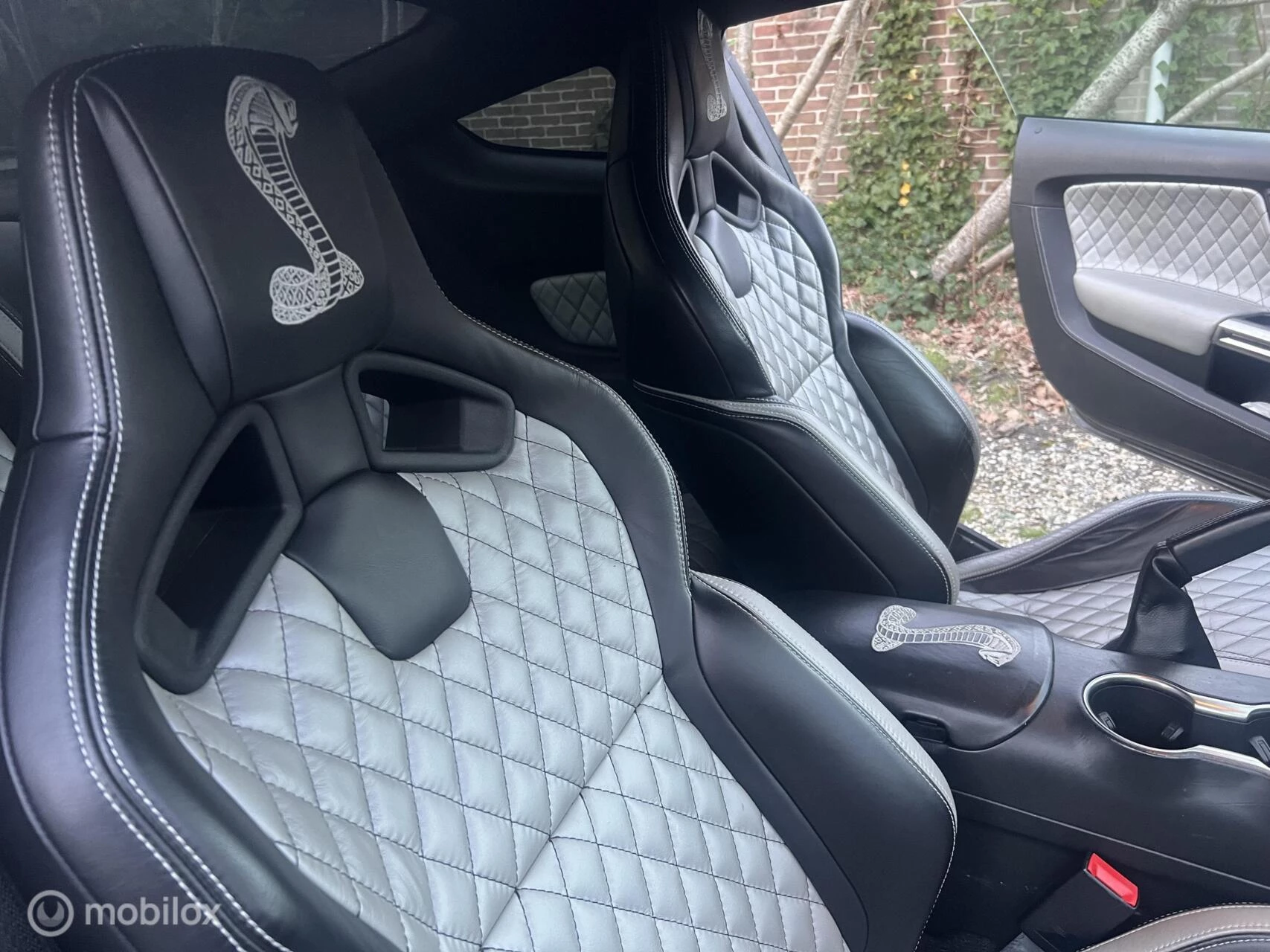 Hoofdafbeelding Ford GT