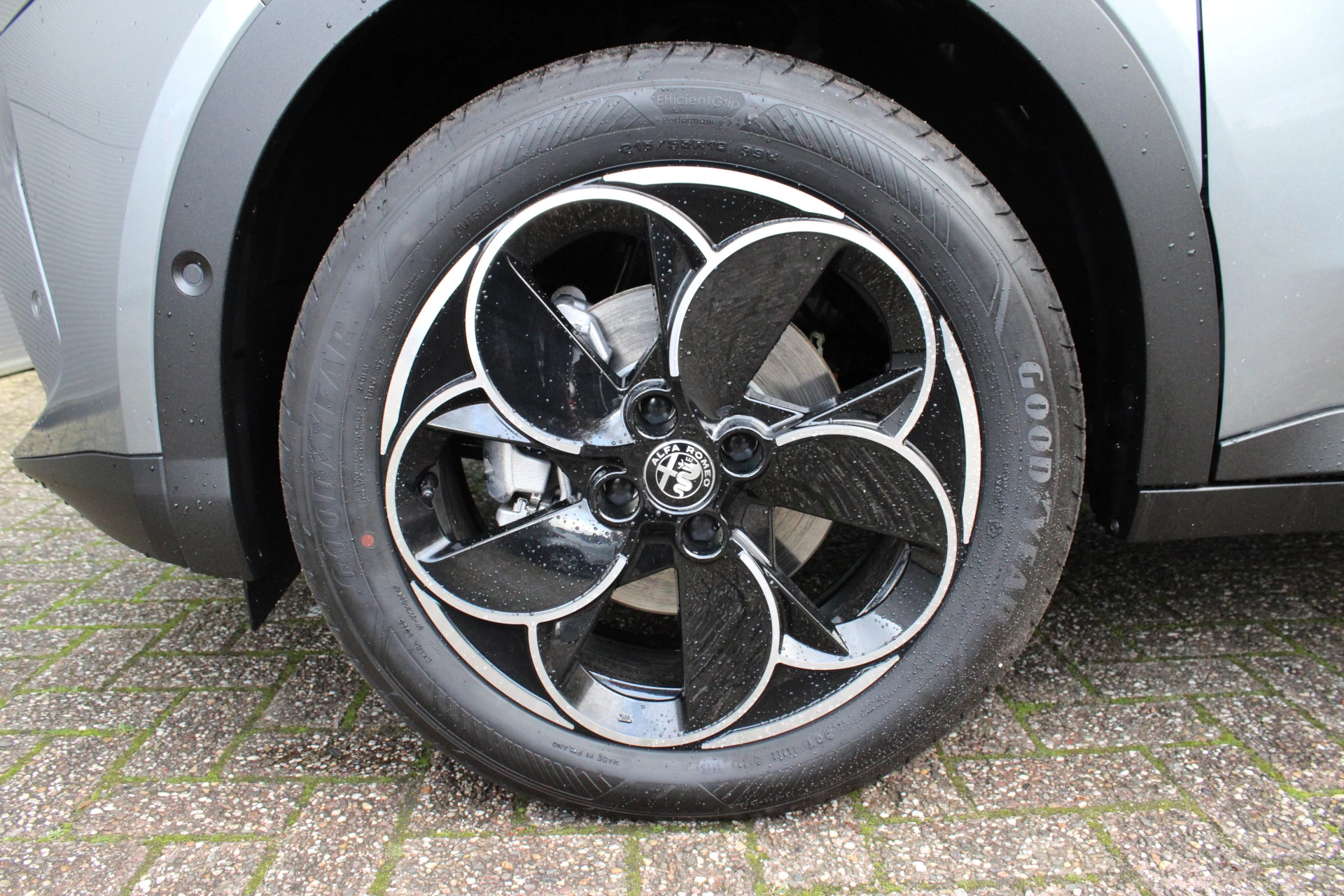 Hoofdafbeelding Alfa Romeo Junior