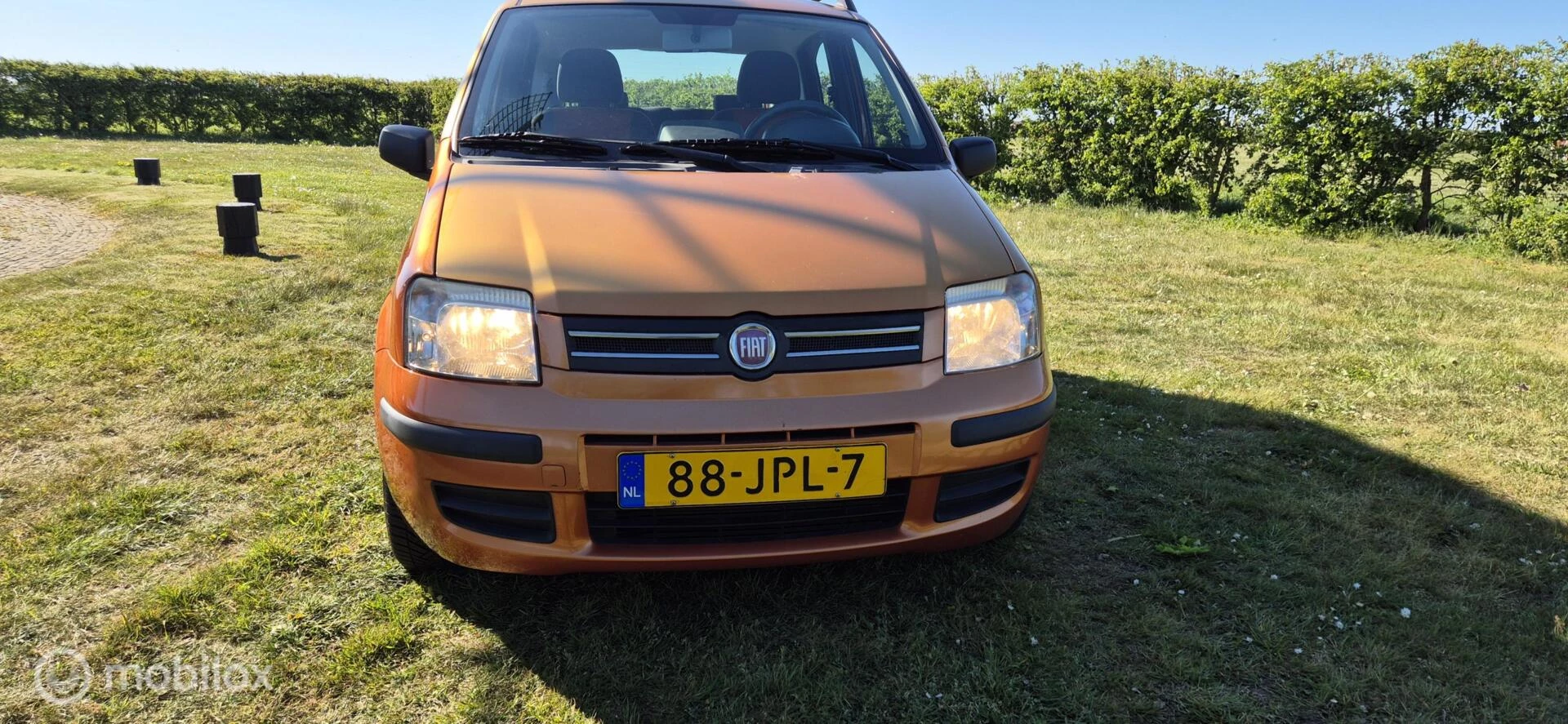 Hoofdafbeelding Fiat Panda
