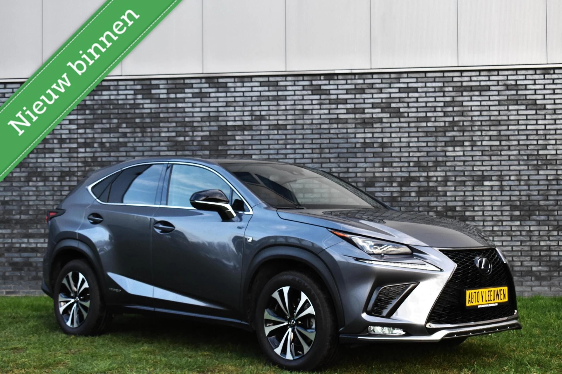 Hoofdafbeelding Lexus NX