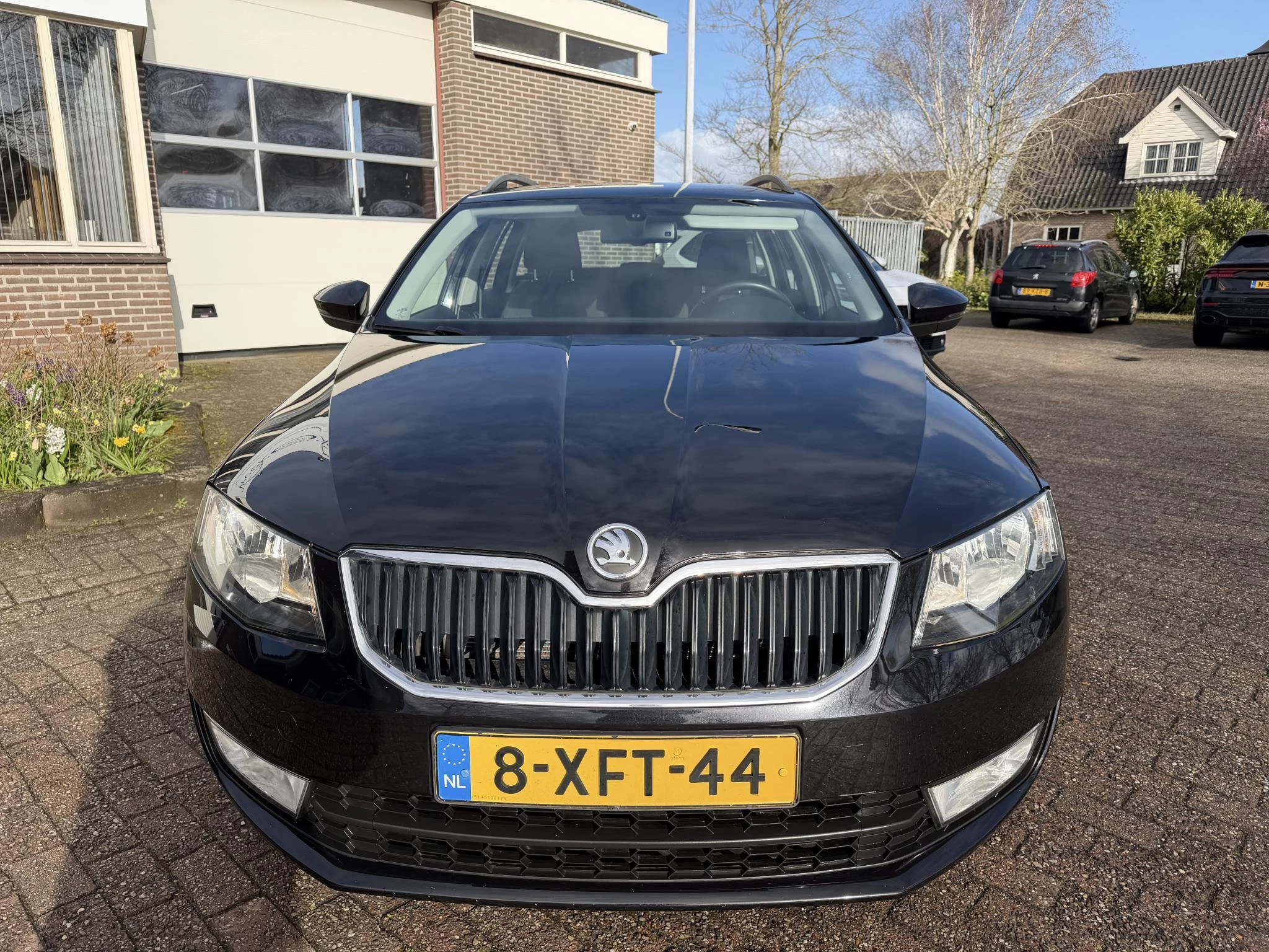 Hoofdafbeelding Škoda Octavia