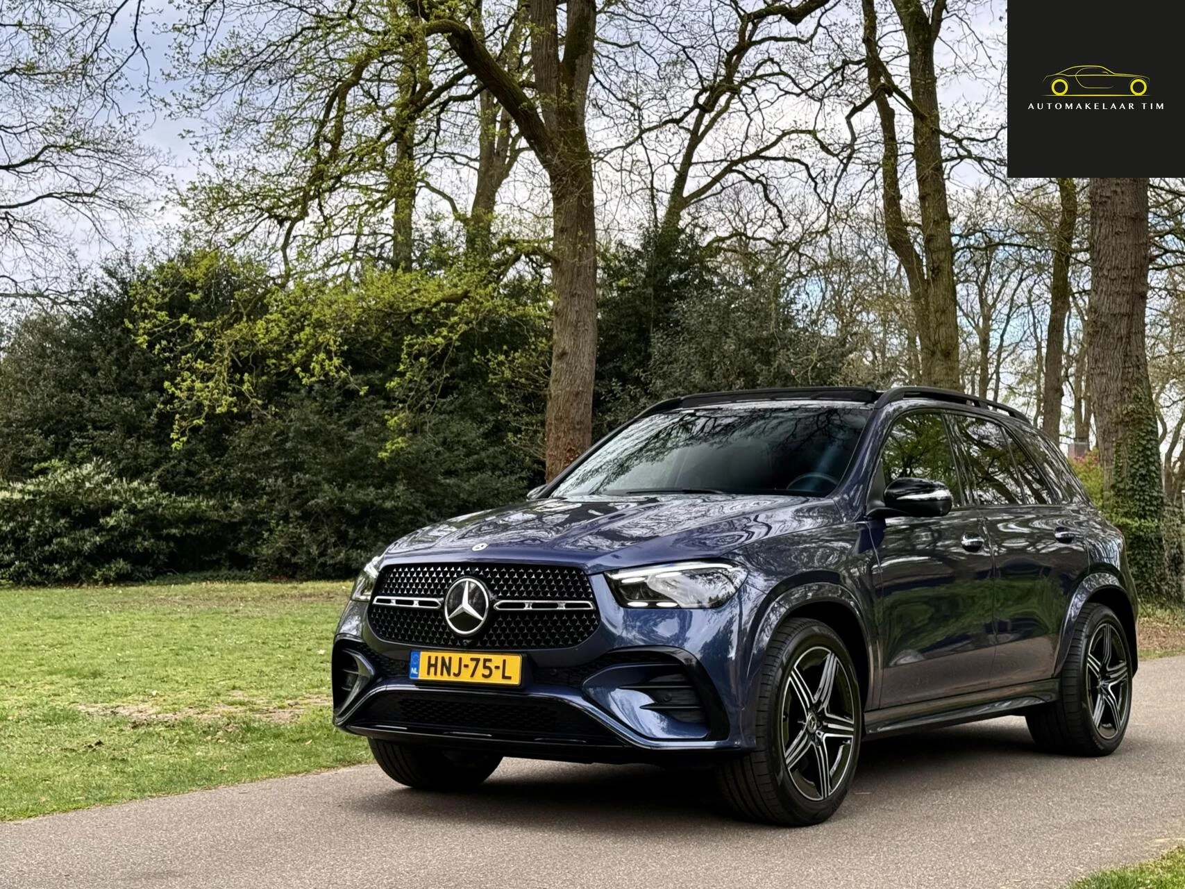 Hoofdafbeelding Mercedes-Benz GLE