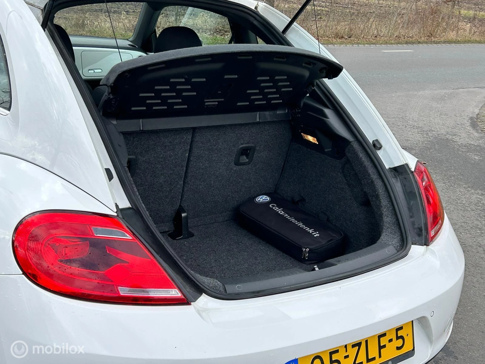 Hoofdafbeelding Volkswagen Beetle