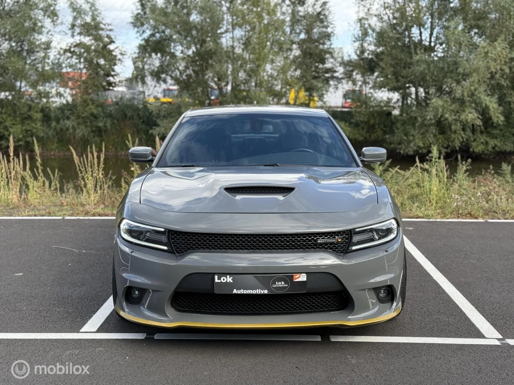 Hoofdafbeelding Dodge Charger