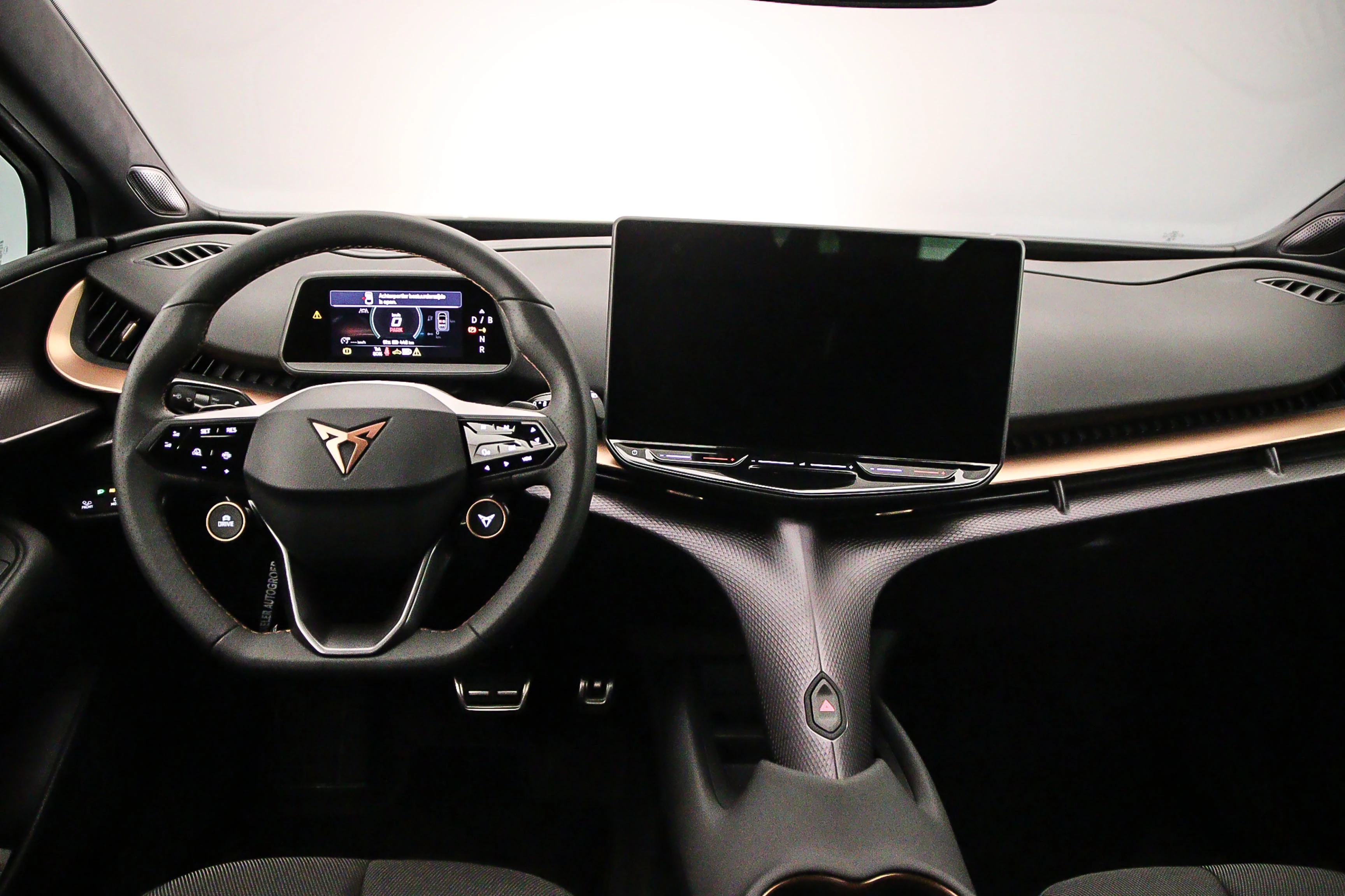 Hoofdafbeelding CUPRA Tavascan