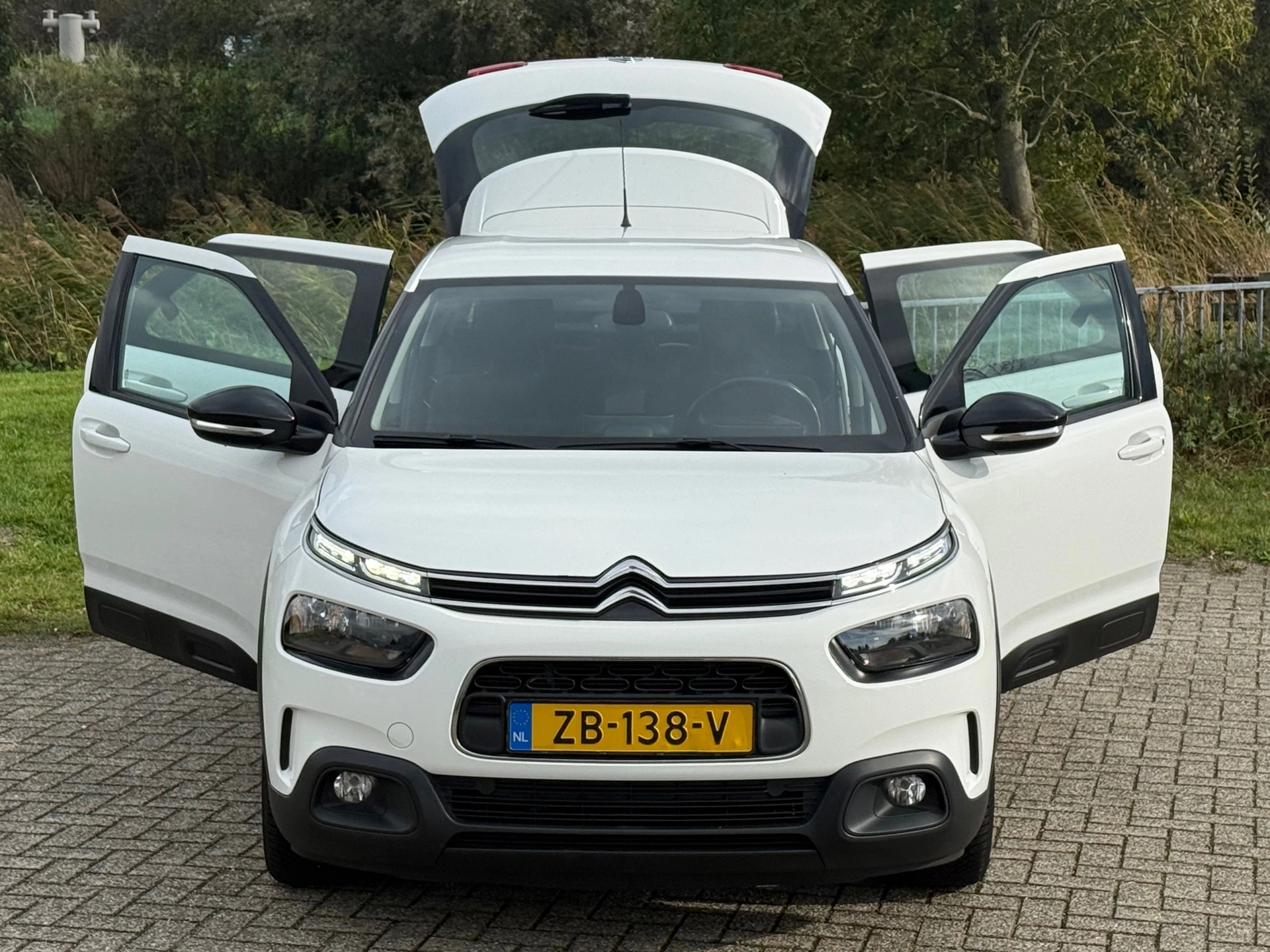 Hoofdafbeelding Citroën C4 Cactus