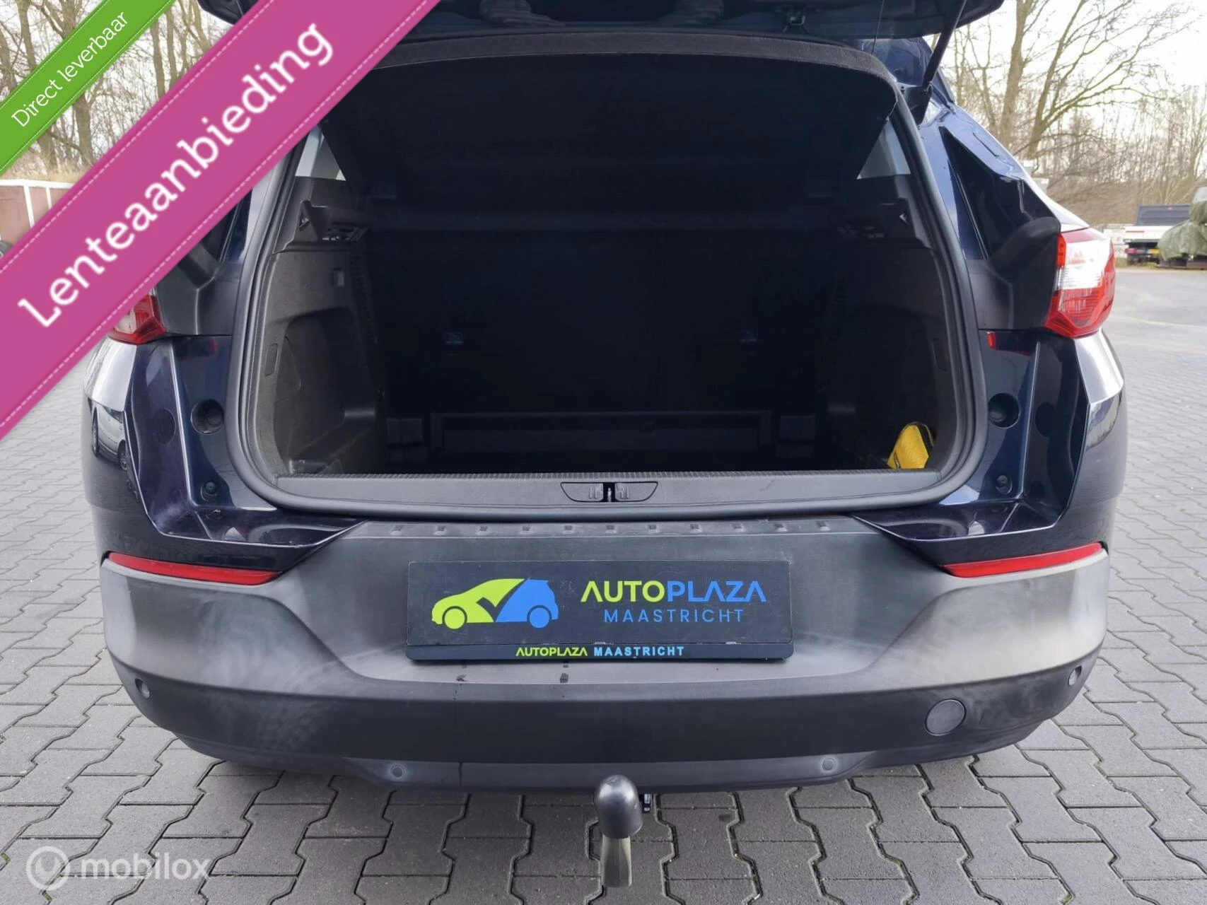 Hoofdafbeelding Opel Grandland X