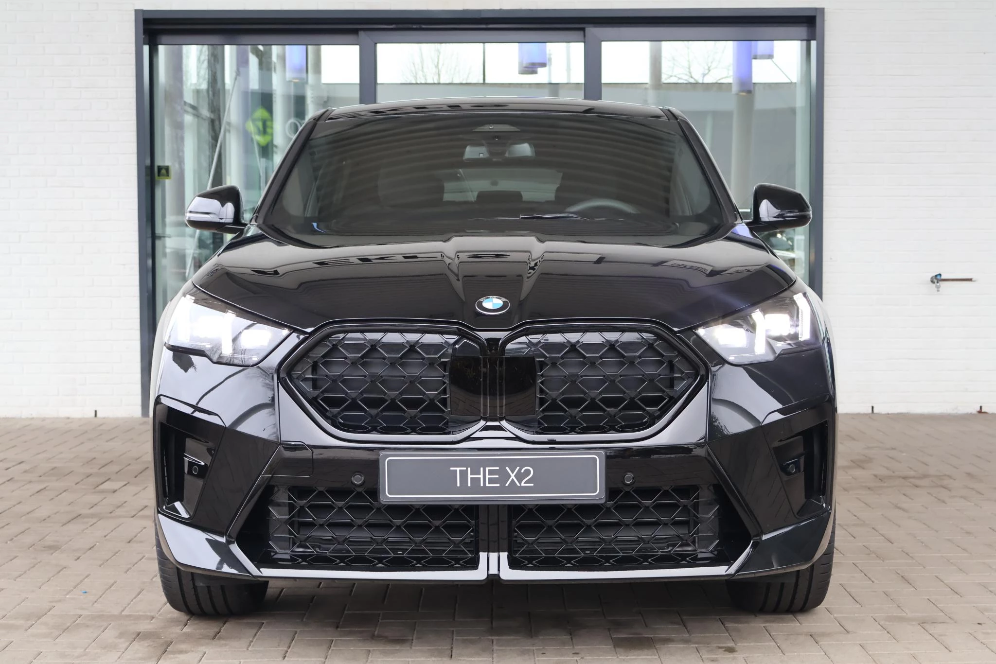 Hoofdafbeelding BMW X2