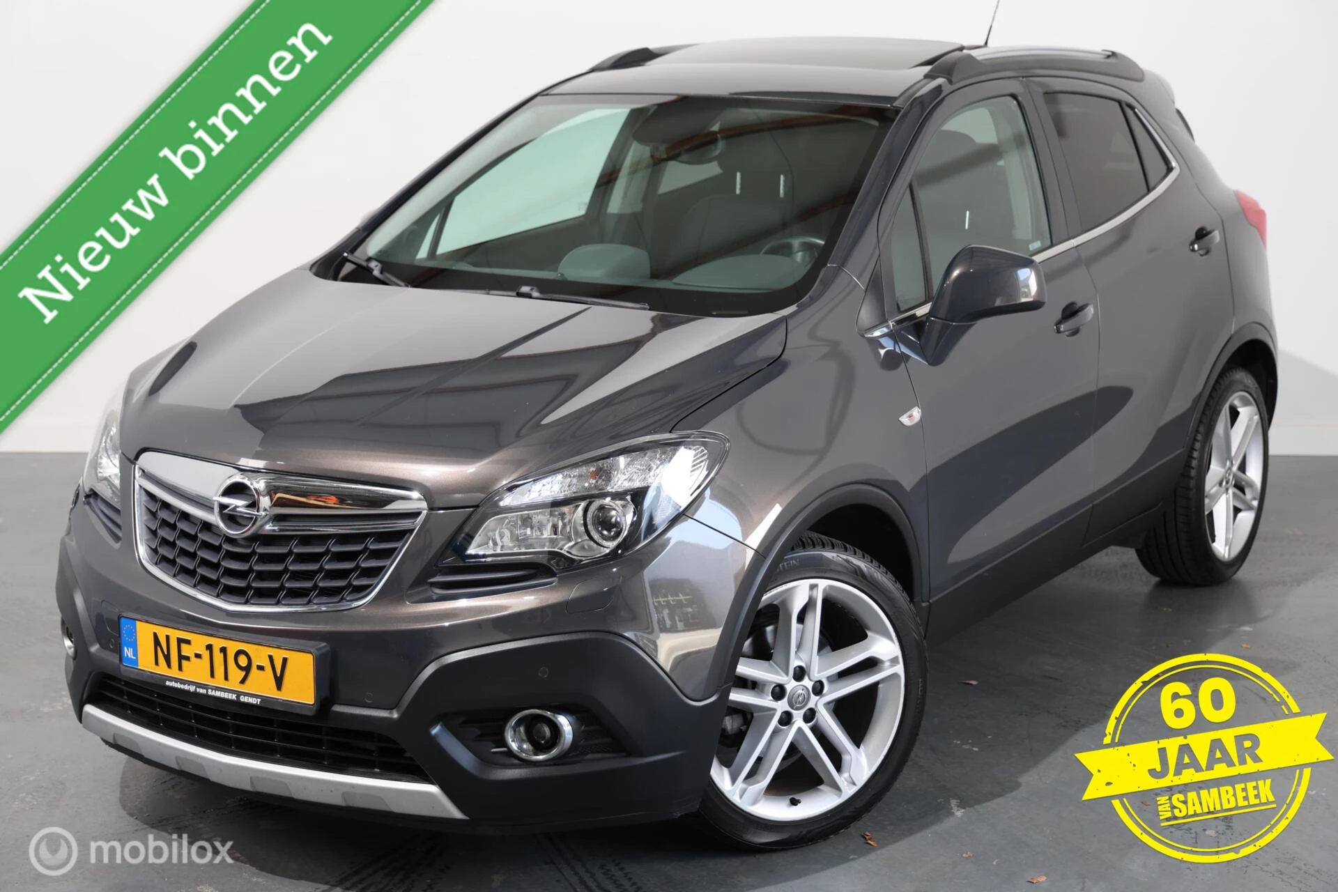 Hoofdafbeelding Opel Mokka