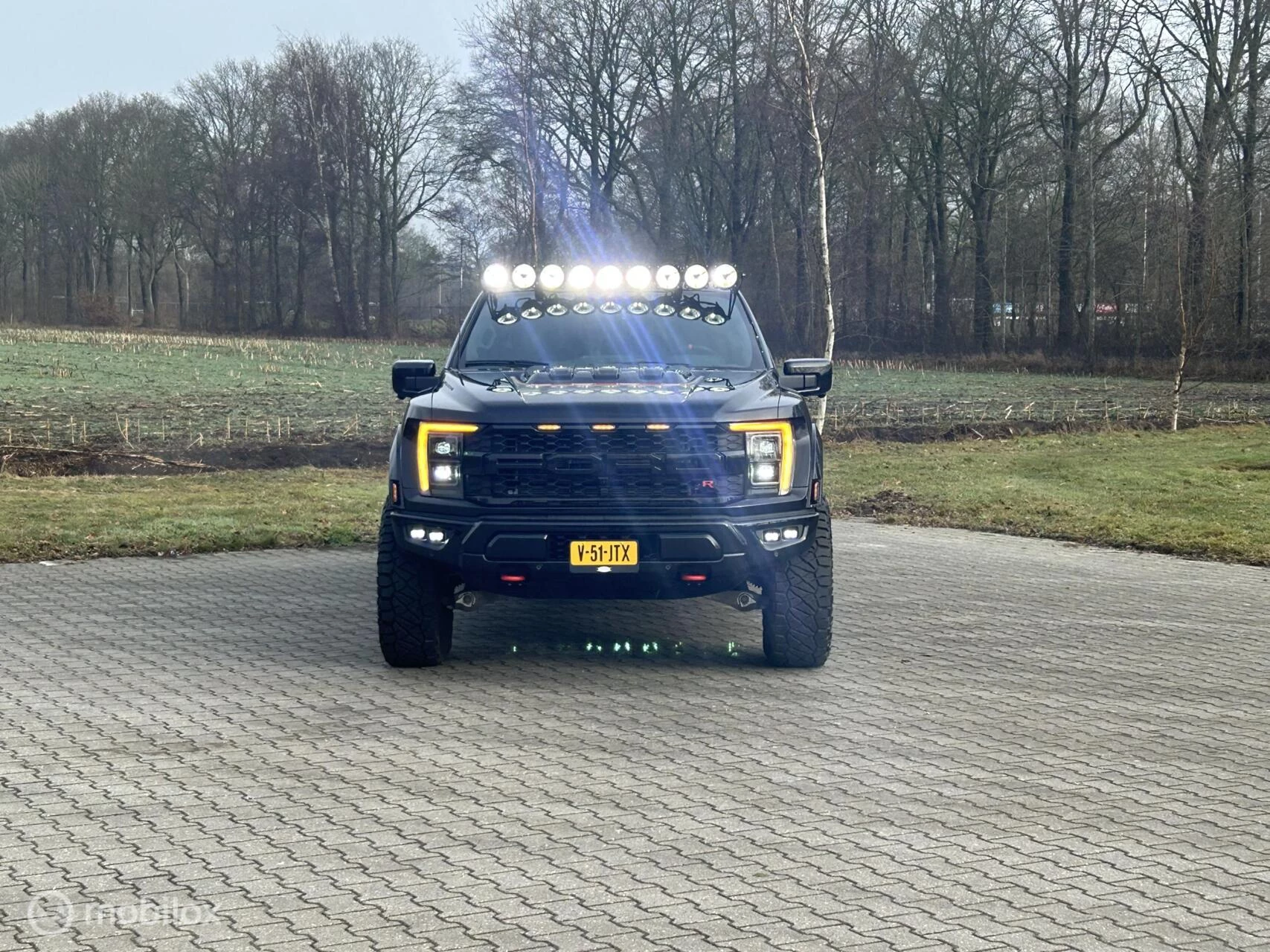 Hoofdafbeelding Ford F-150
