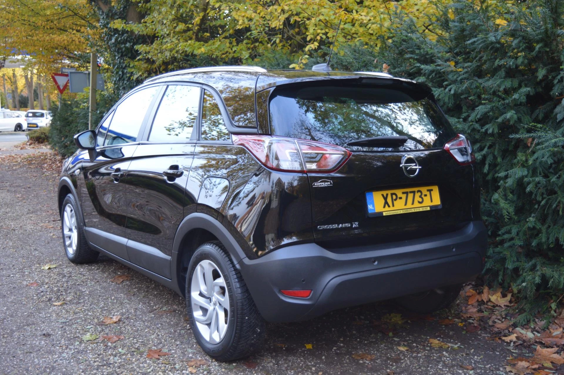 Hoofdafbeelding Opel Crossland X