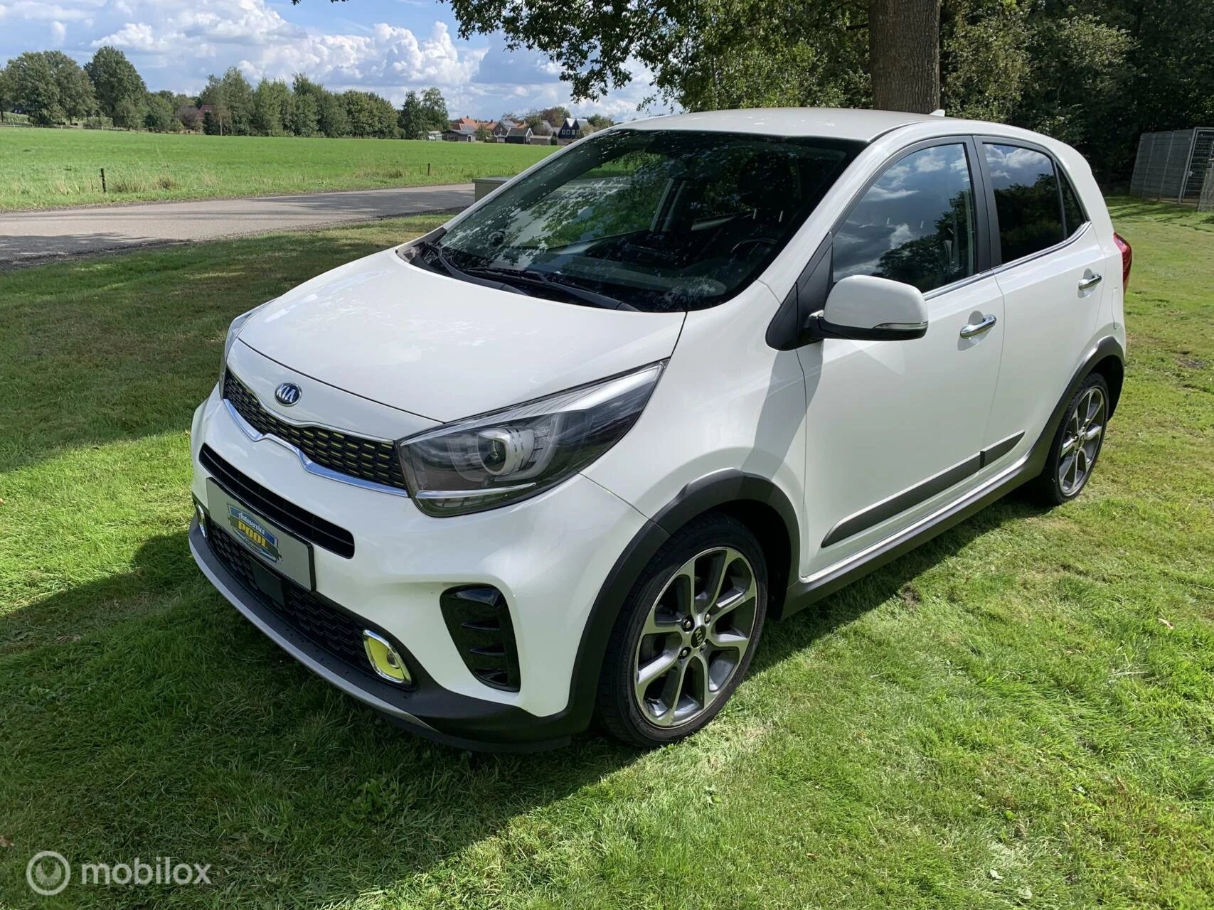 Hoofdafbeelding Kia Picanto