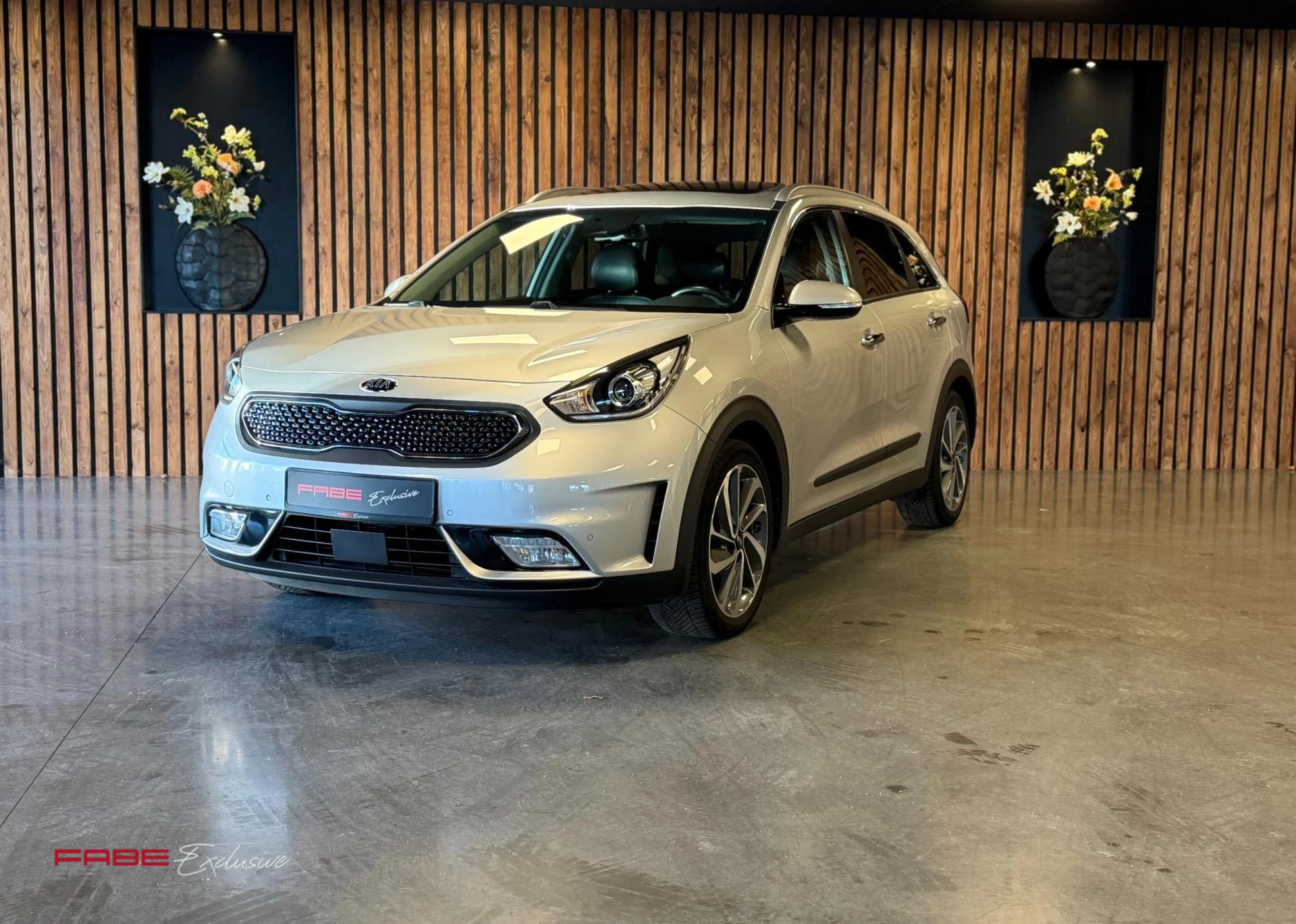 Hoofdafbeelding Kia Niro