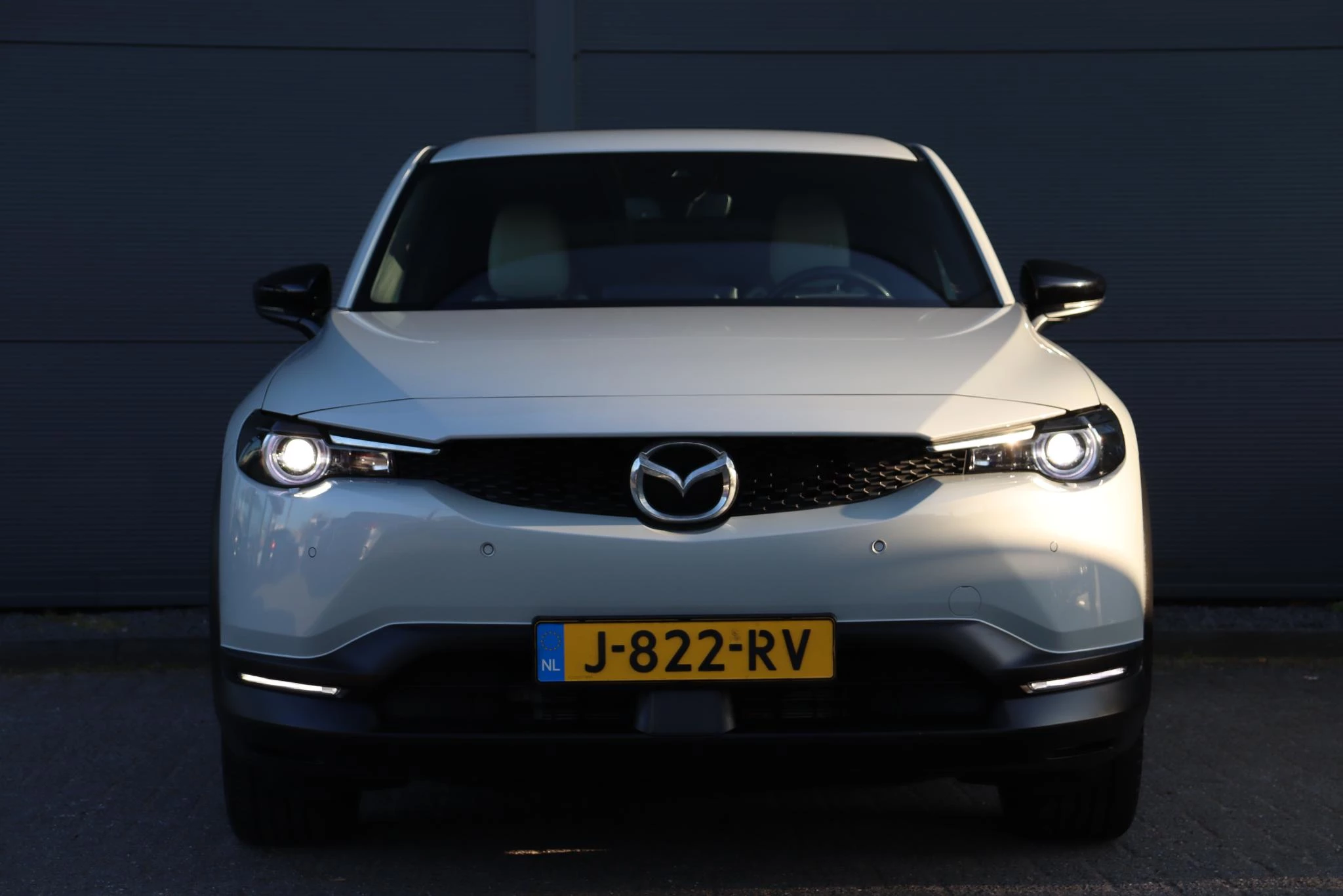 Hoofdafbeelding Mazda MX-30